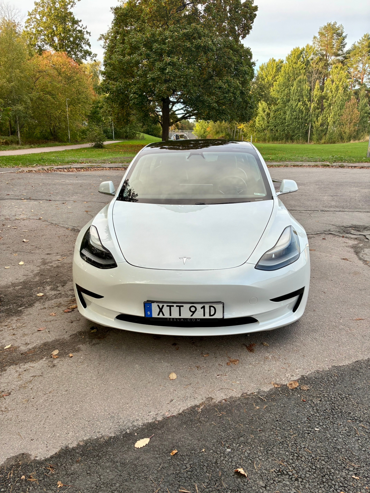 Tesla Model 3 Standard Range Plus 2020, bild 2/10