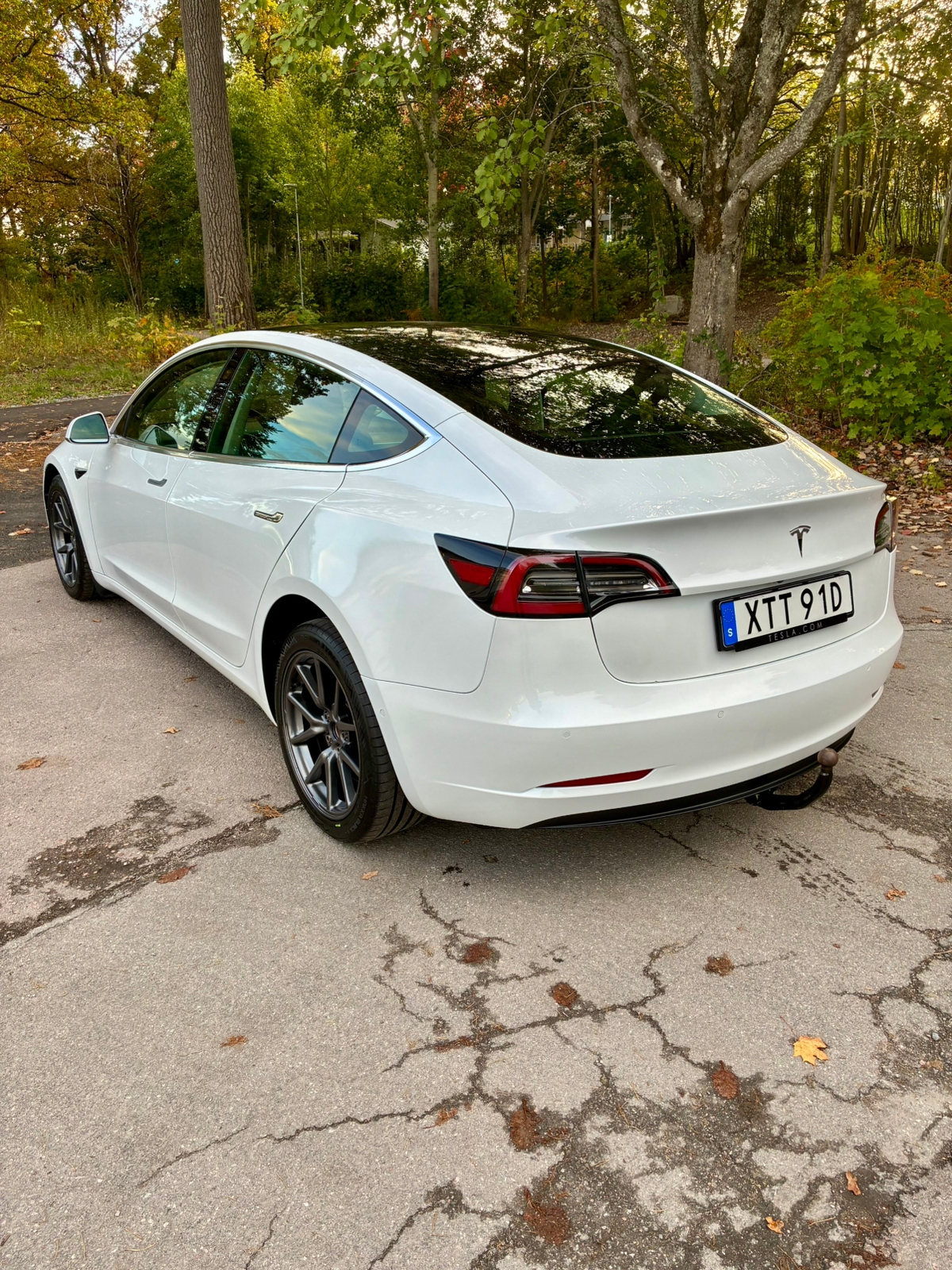Tesla Model 3 Standard Range Plus 2020, bild 6/10