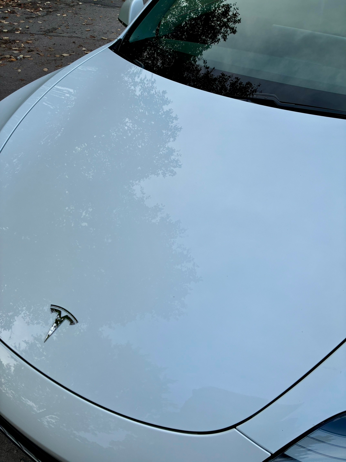 Tesla Model 3 Standard Range Plus 2020, bild 5/10