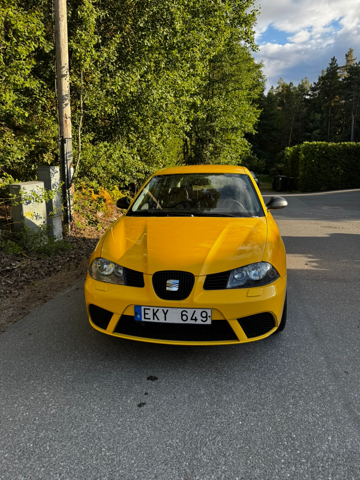 Seat Ibiza