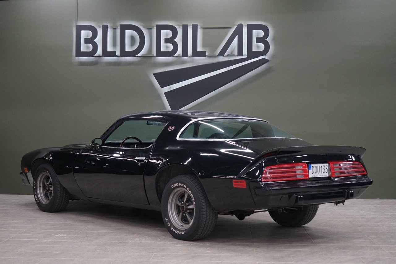 Pontiac Firebird 1976, bild 5/10