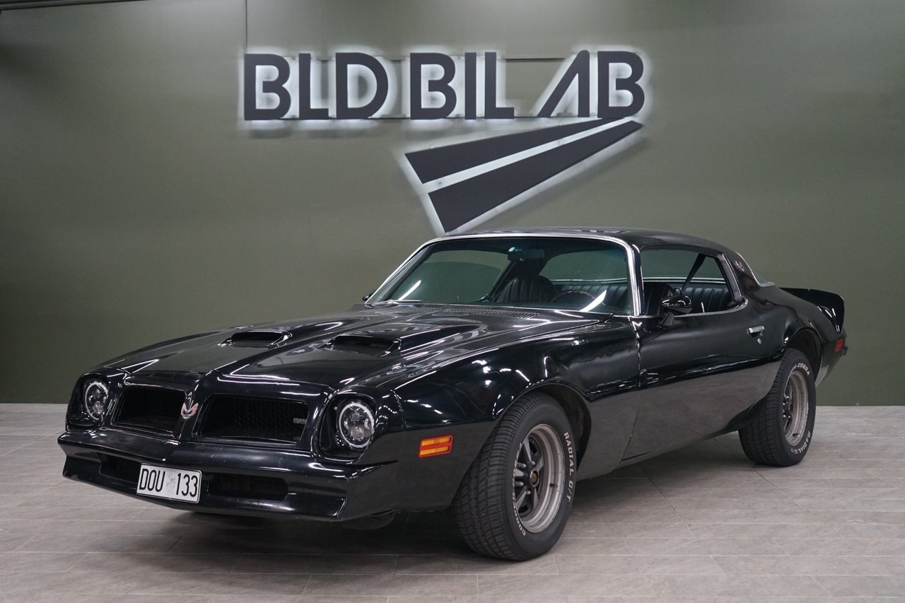 Pontiac Firebird 1976, bild 2/10