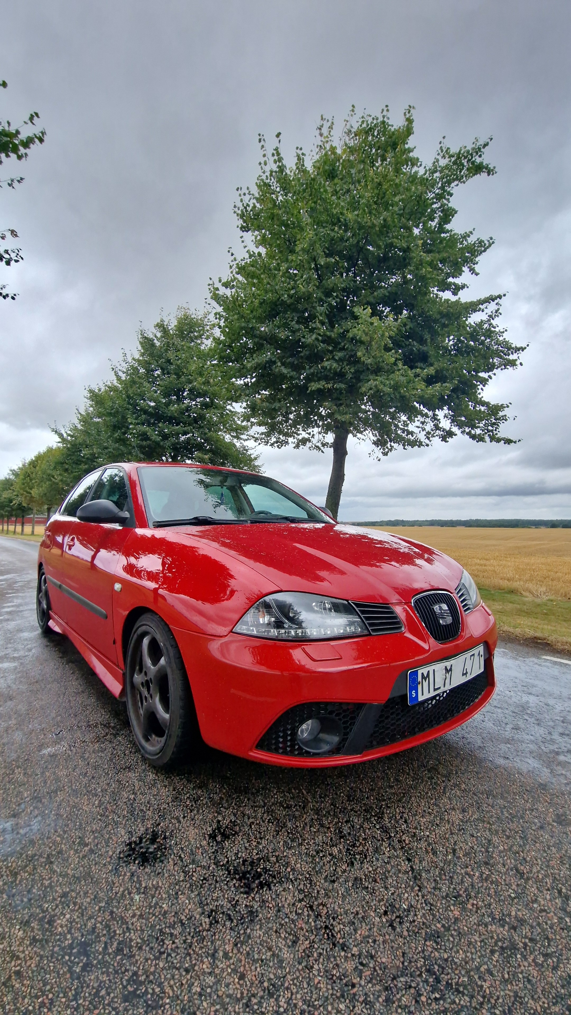 Seat Ibiza FR 5-door 1.8 T 20v Manuell 2007, bild 7/9
