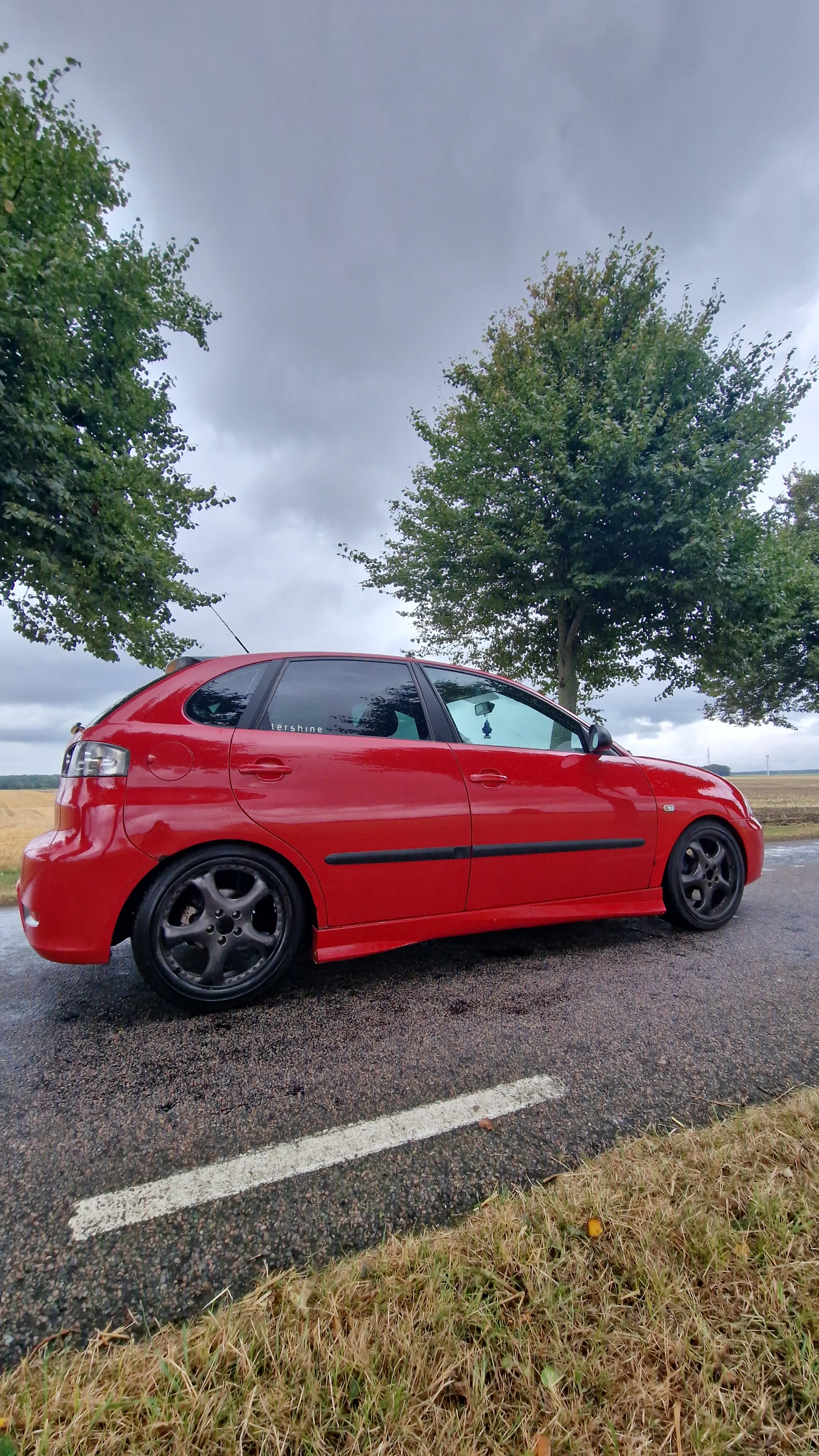 Seat Ibiza FR 5-door 1.8 T 20v Manuell 2007, bild 6/9