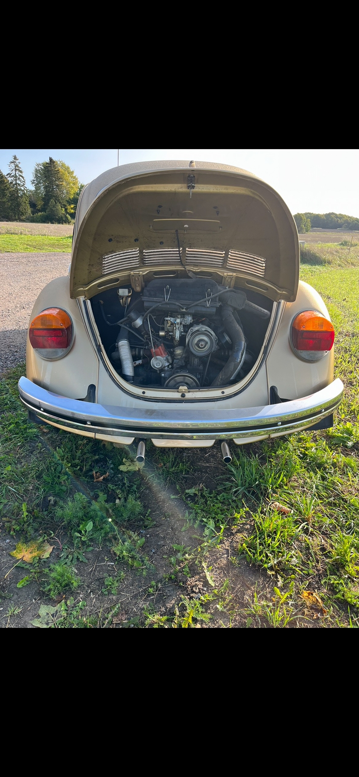 Volkswagen 1303 S 1.6 H4 Manuell 1974, bild 6/10