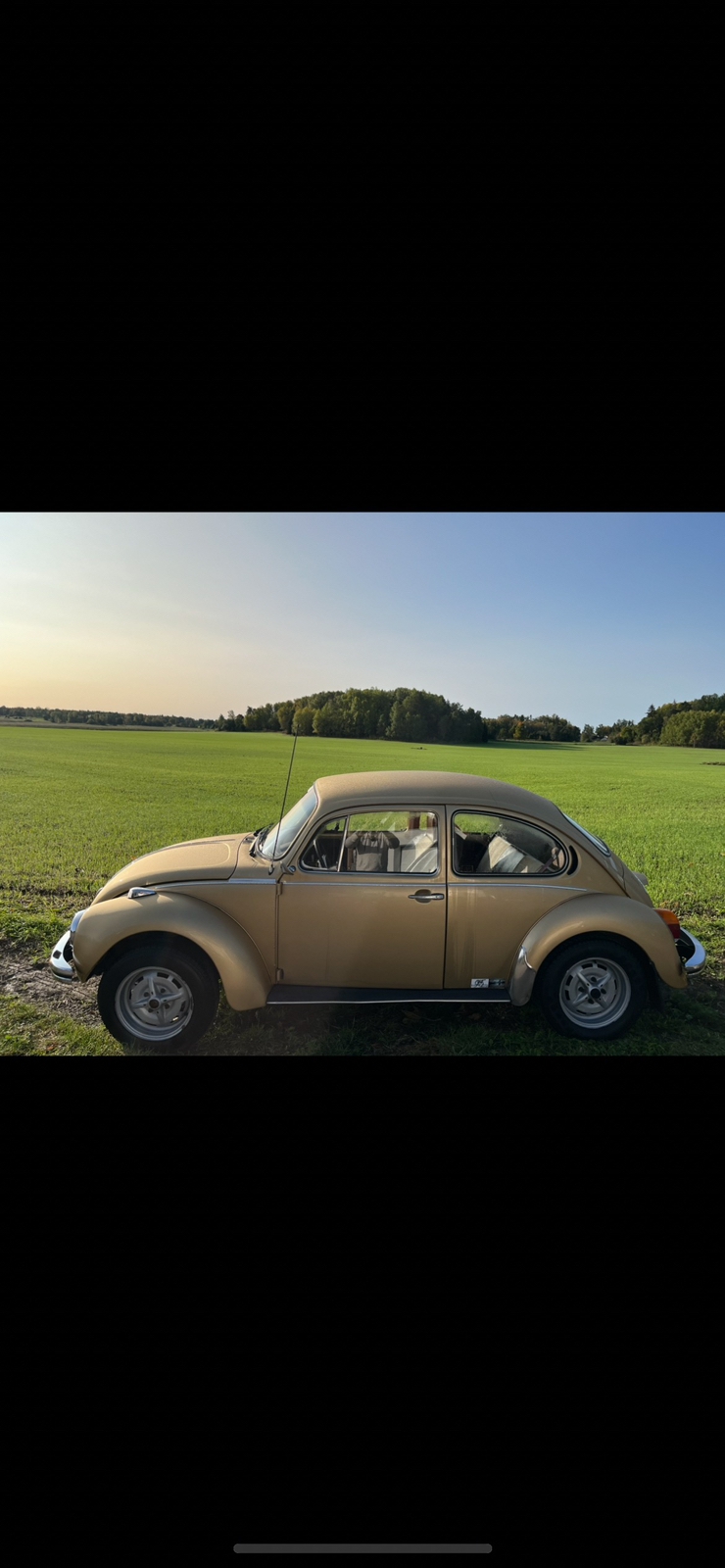 Volkswagen 1303