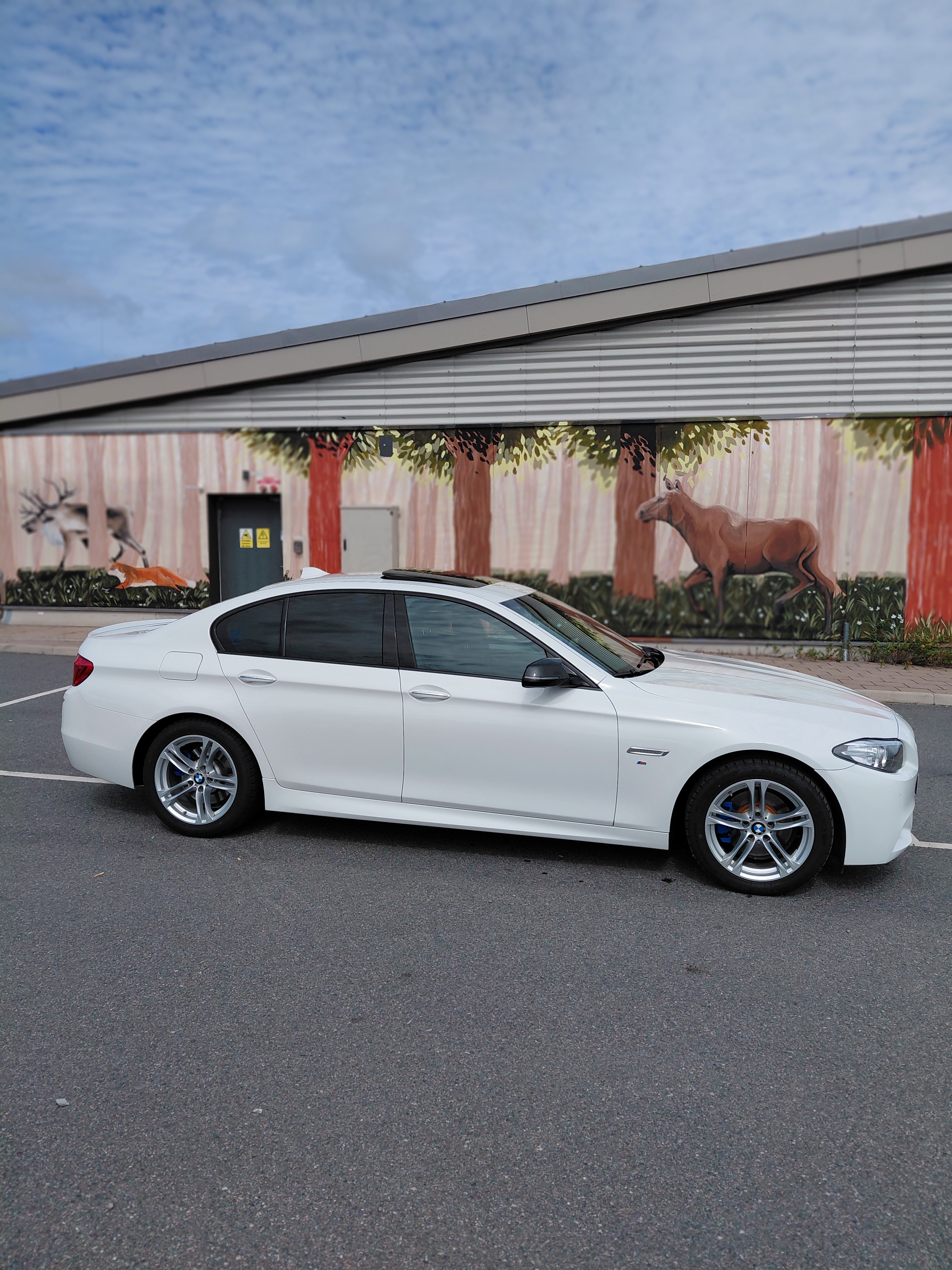 BMW 520 d xDrive Sedan Steptronic 2016, bild 2/10