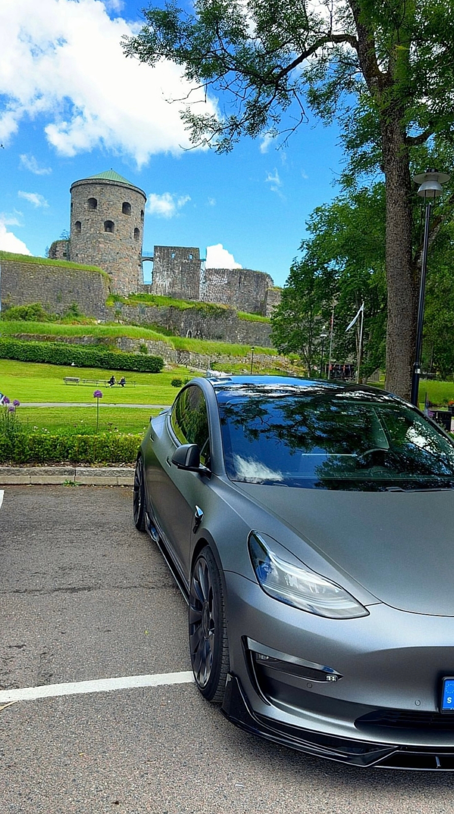 Tesla Model 3 Performance 2021, photo 3/13
