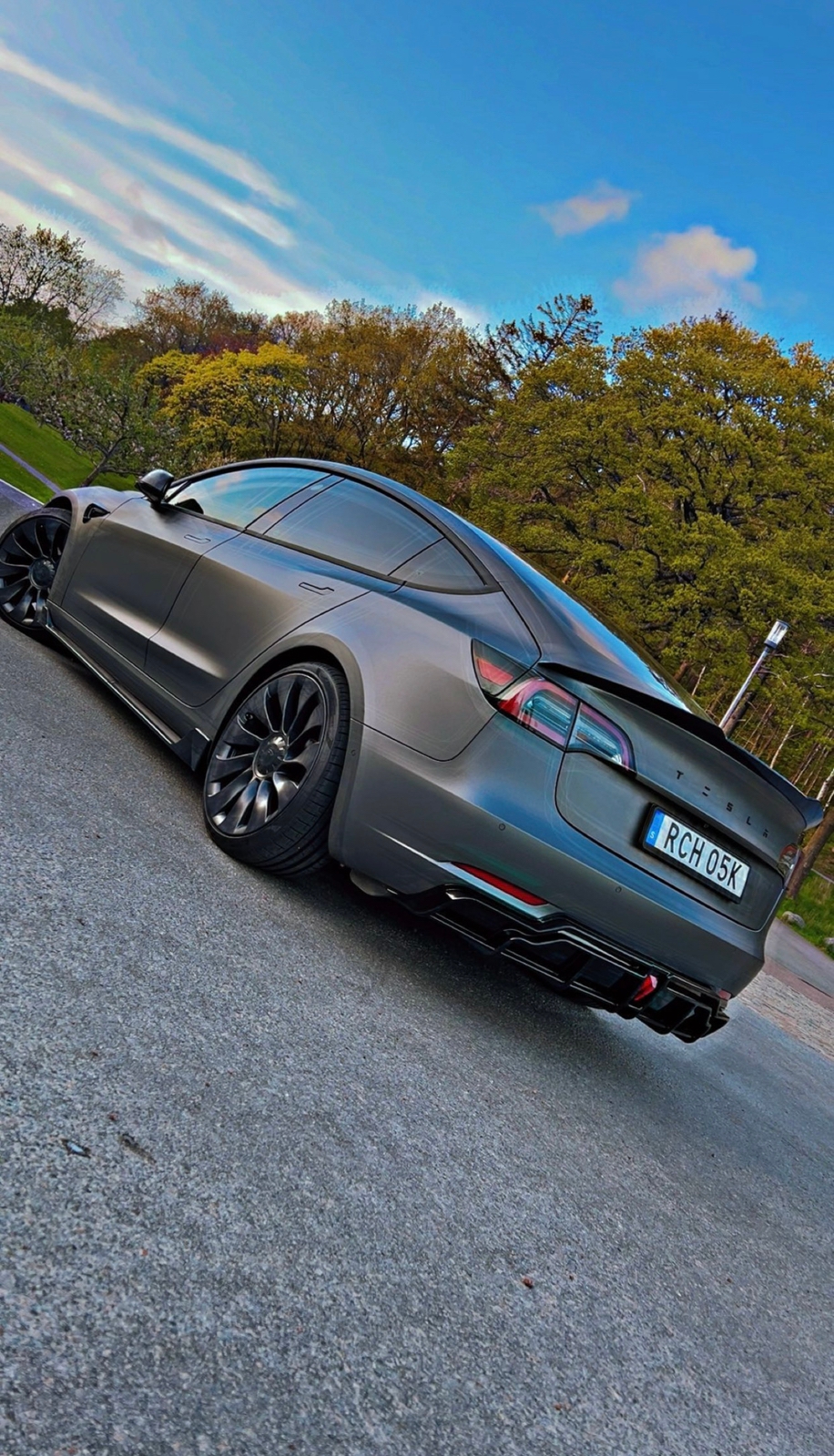 Tesla Model 3 Performance 2021, photo 6/13