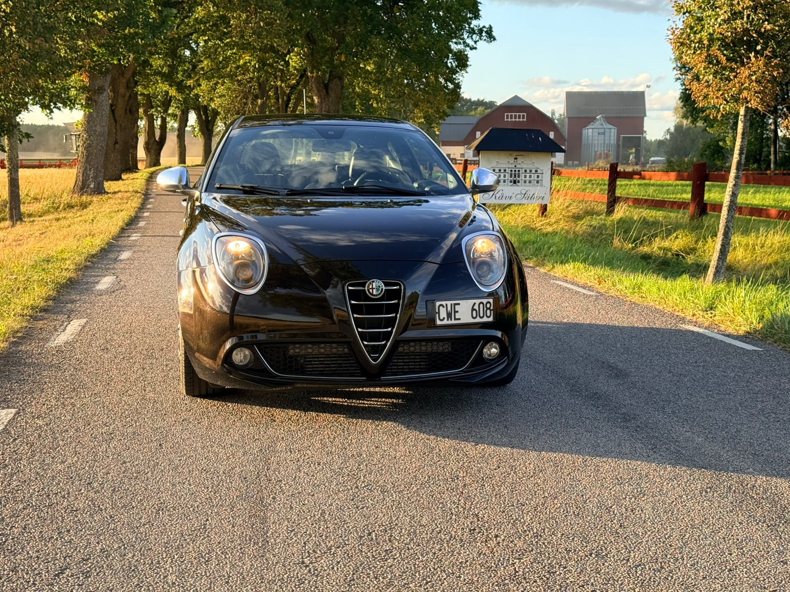 Alfa Romeo MiTo 2014, photo 4/6