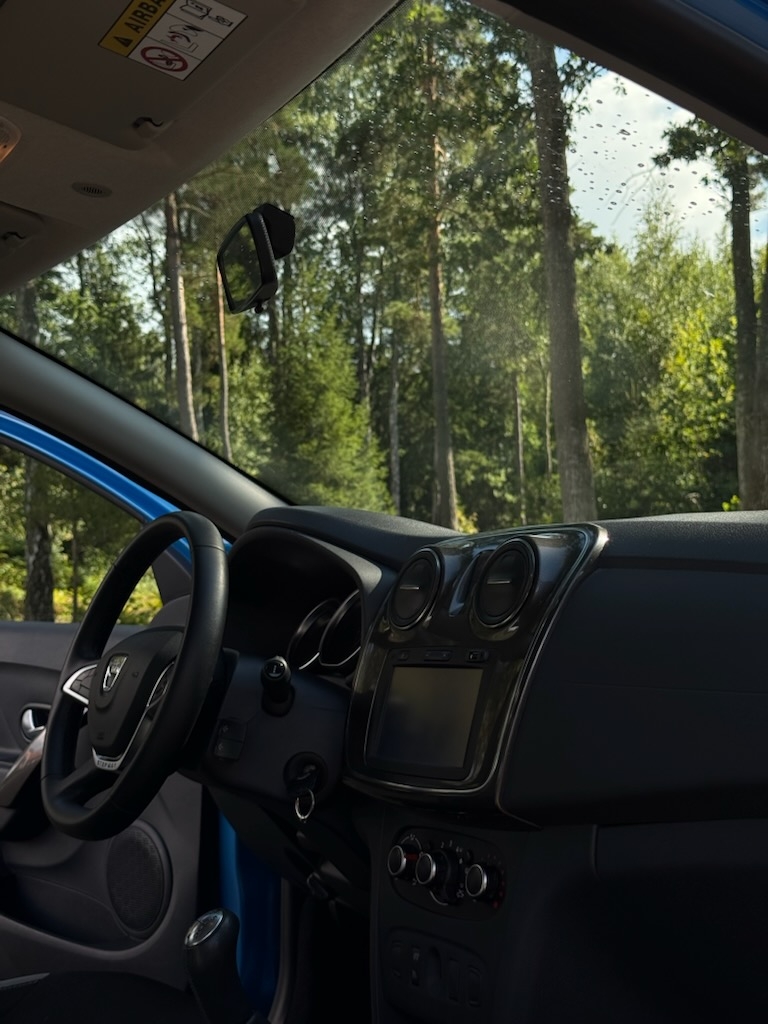 Dacia Sandero Stepway 0.9 TCe Manuell 2017, bild 8/8