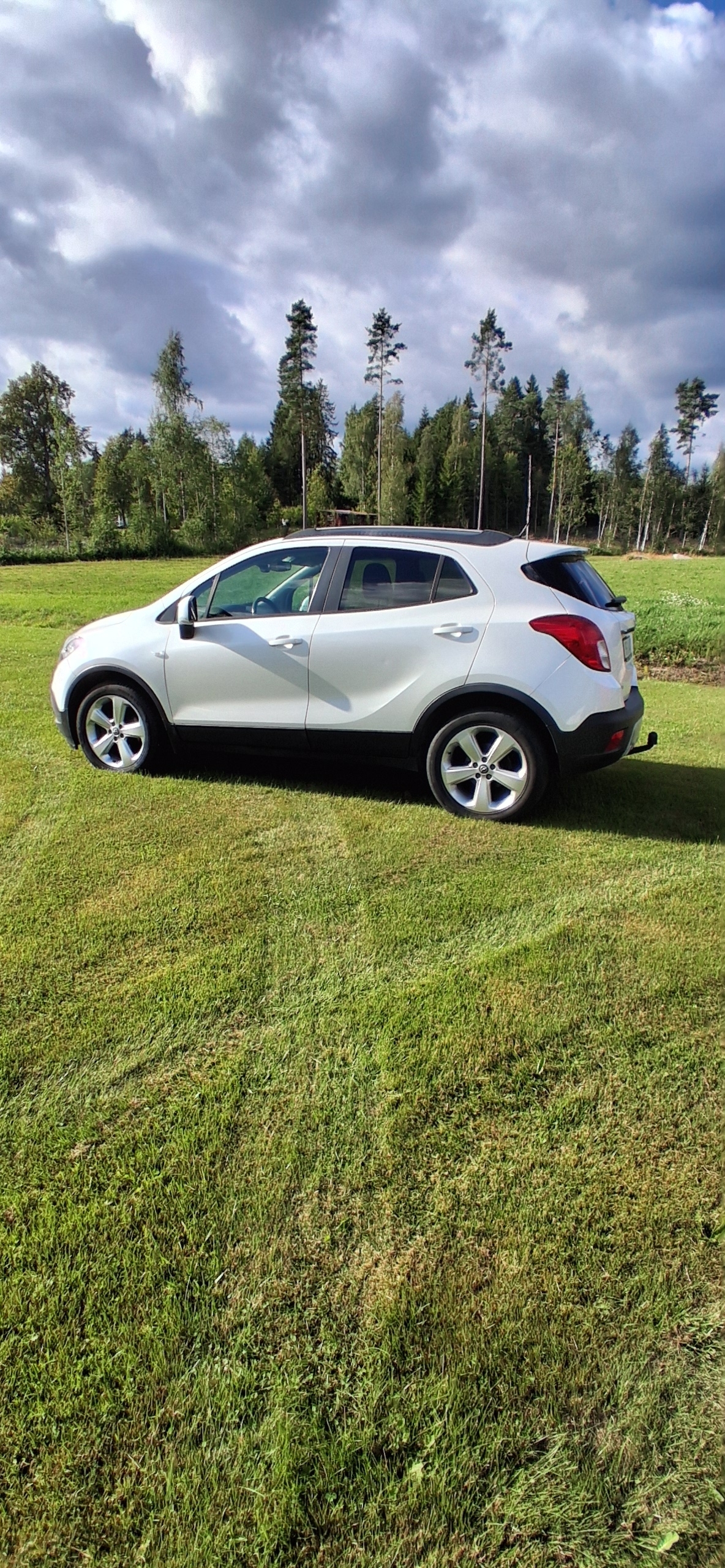 Opel Mokka 1.7 CDTI ecoFLEX 4x4 Manuell 2013, photo 2/6