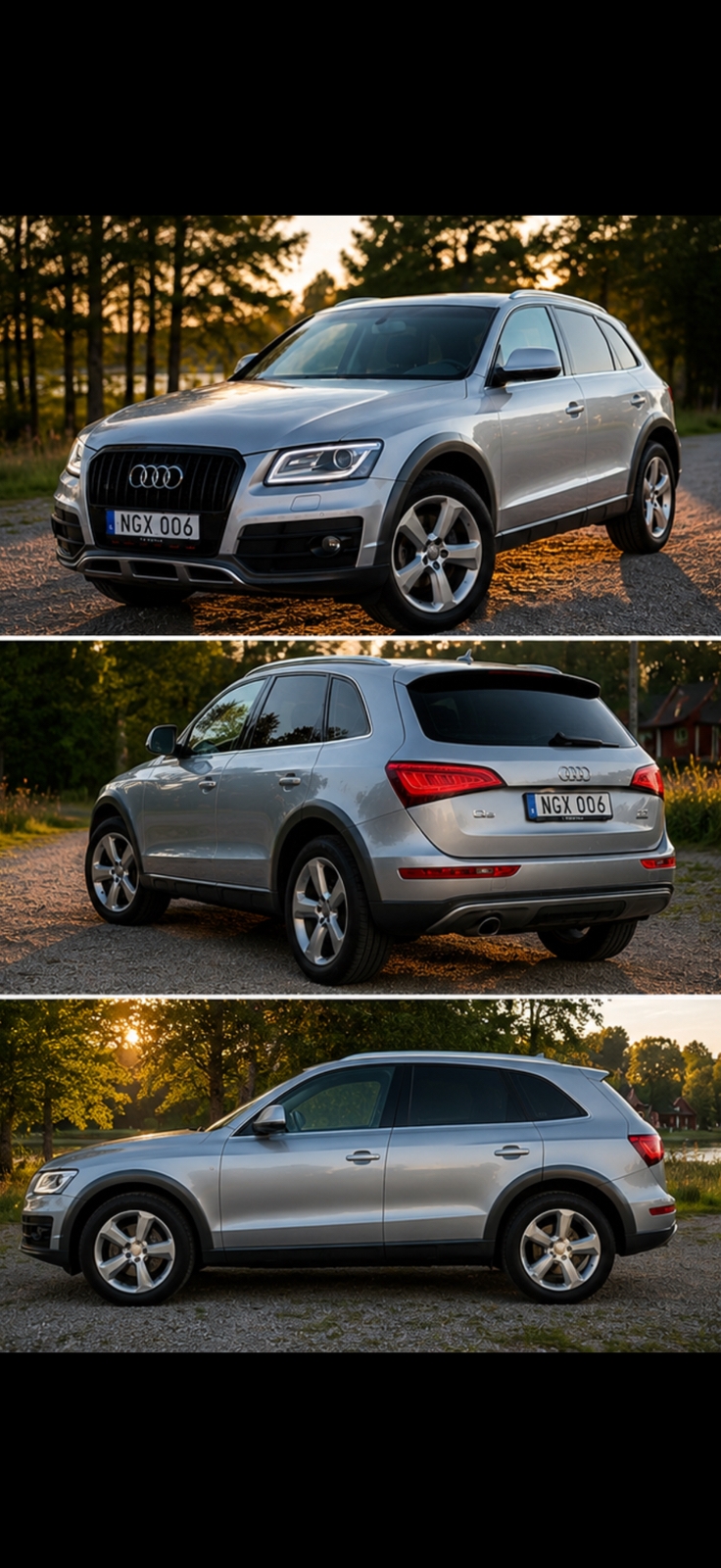 Audi Q5 2016, photo 2/3