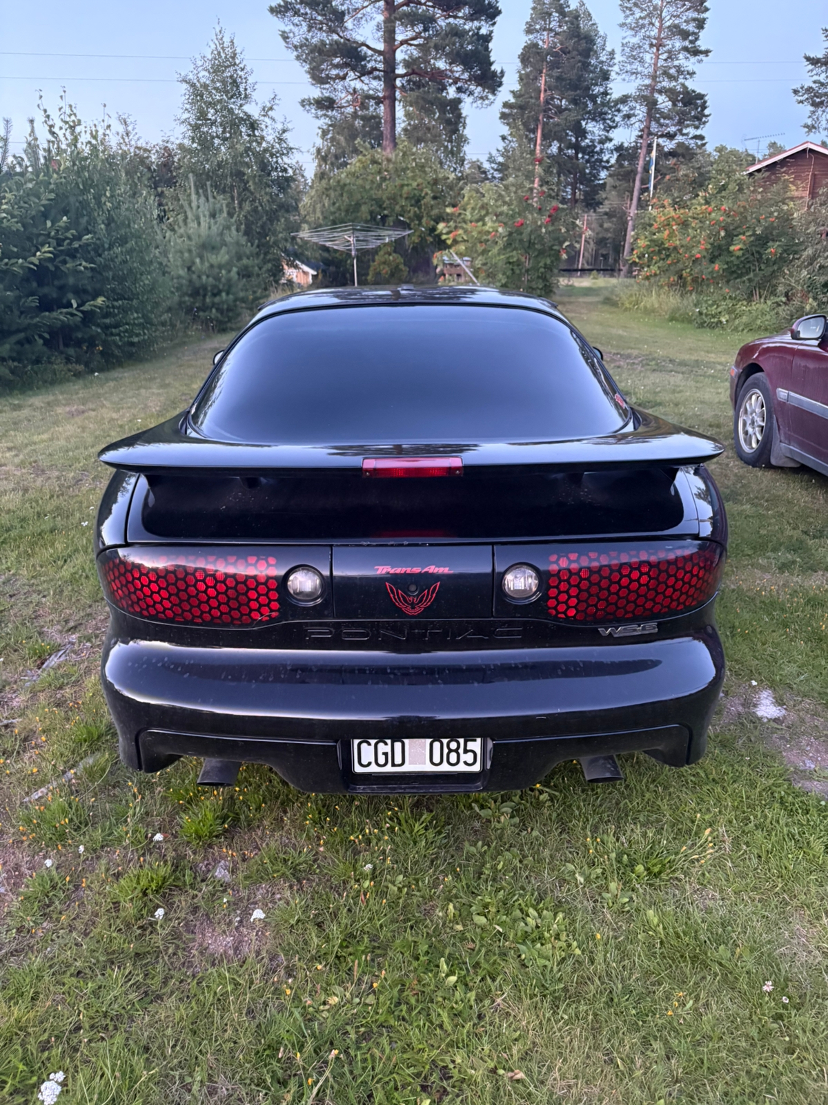 Pontiac Firebird 1998, bild 3/5