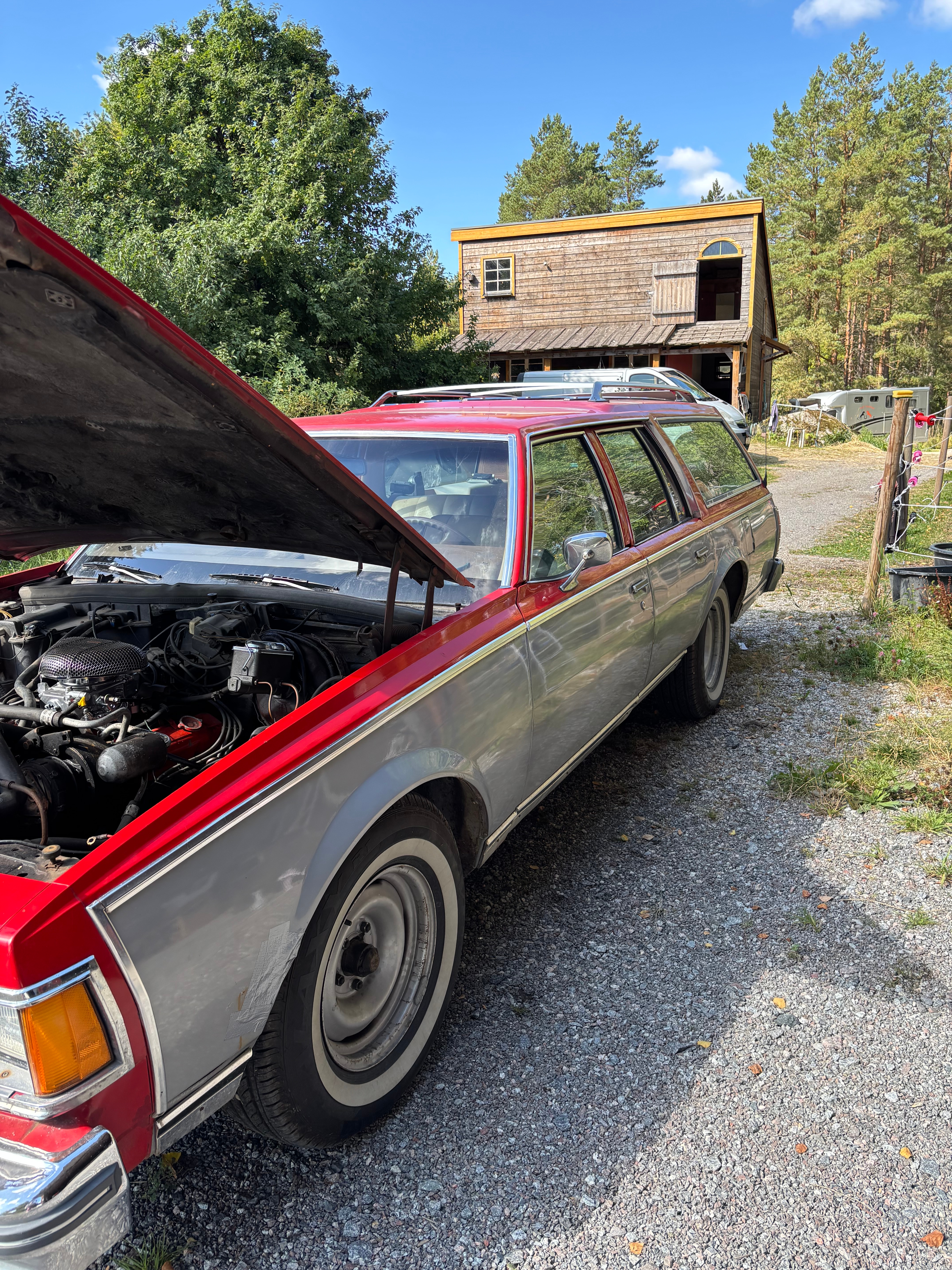 Chevrolet Caprice 1977, bild 5/7