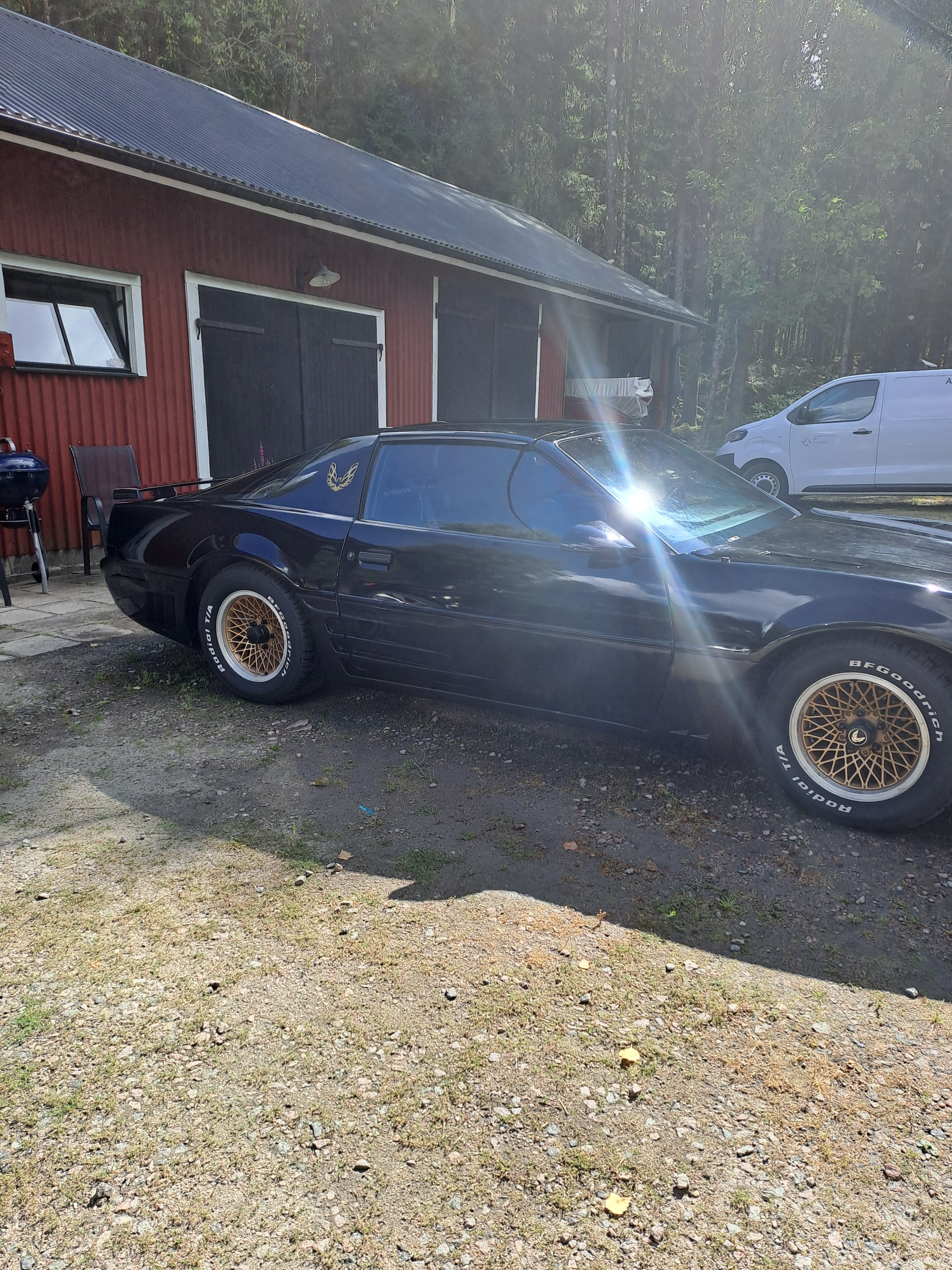 Pontiac Firebird Targa GTA 1992, bild 7/8
