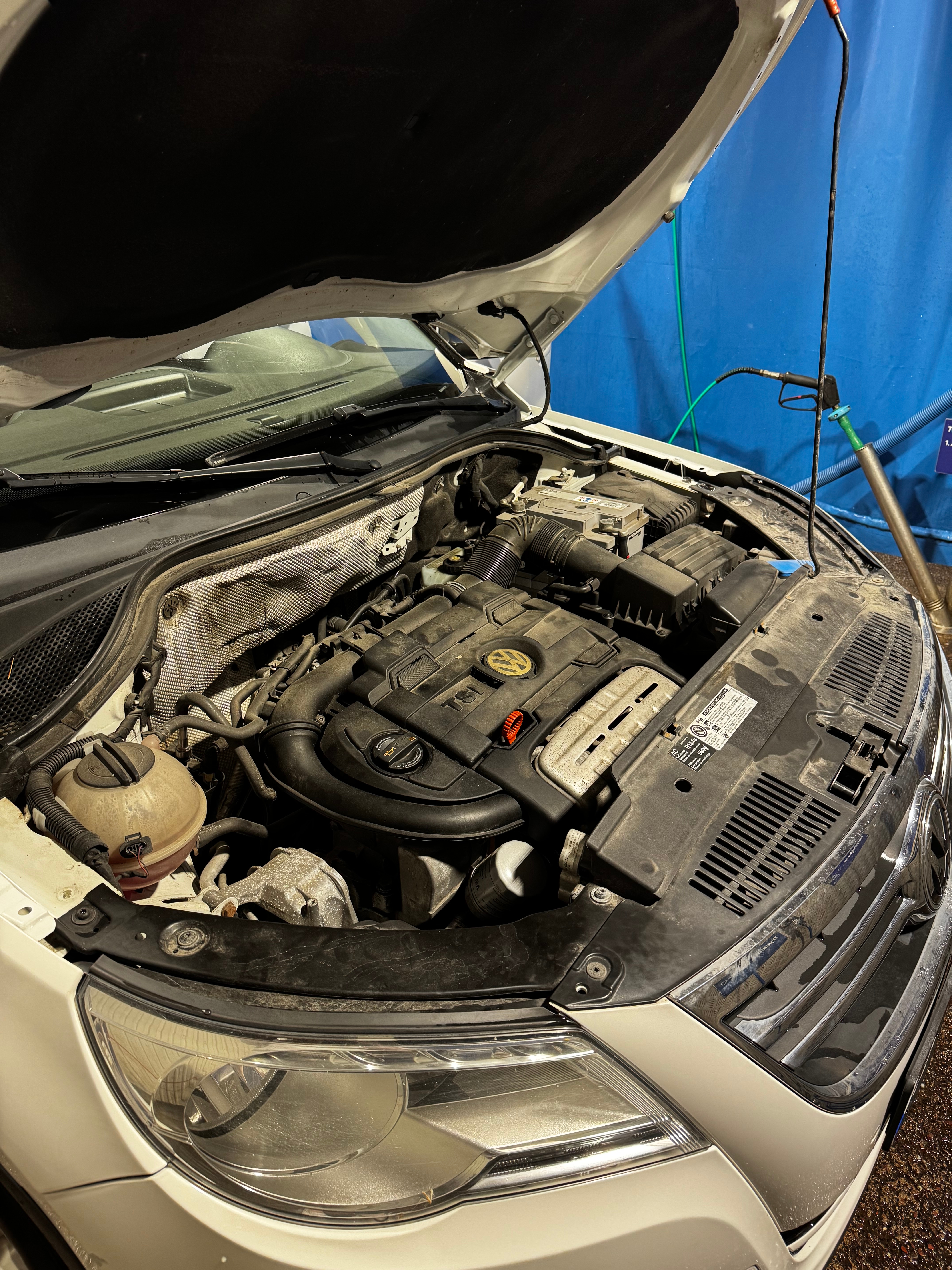 Volkswagen Tiguan 2010, photo 6/10