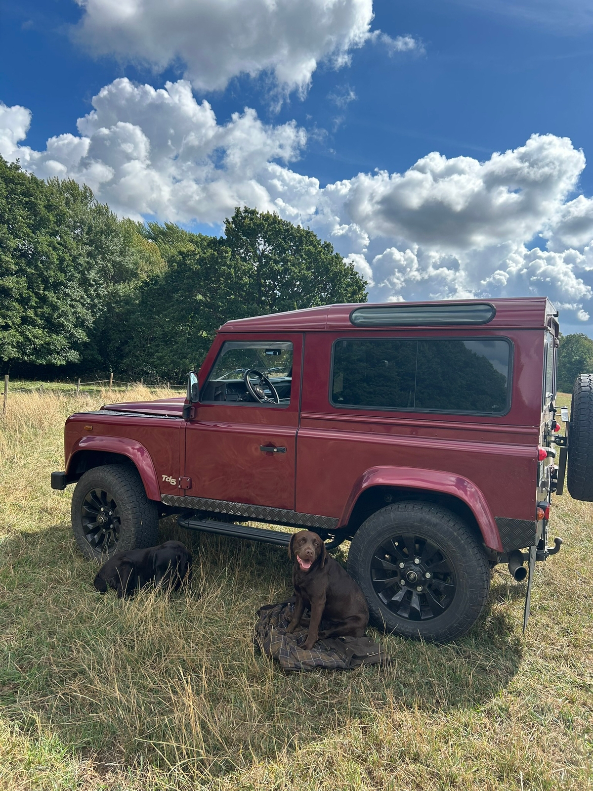 Land Rover Defender 90 Td5 2000, bild 2/12