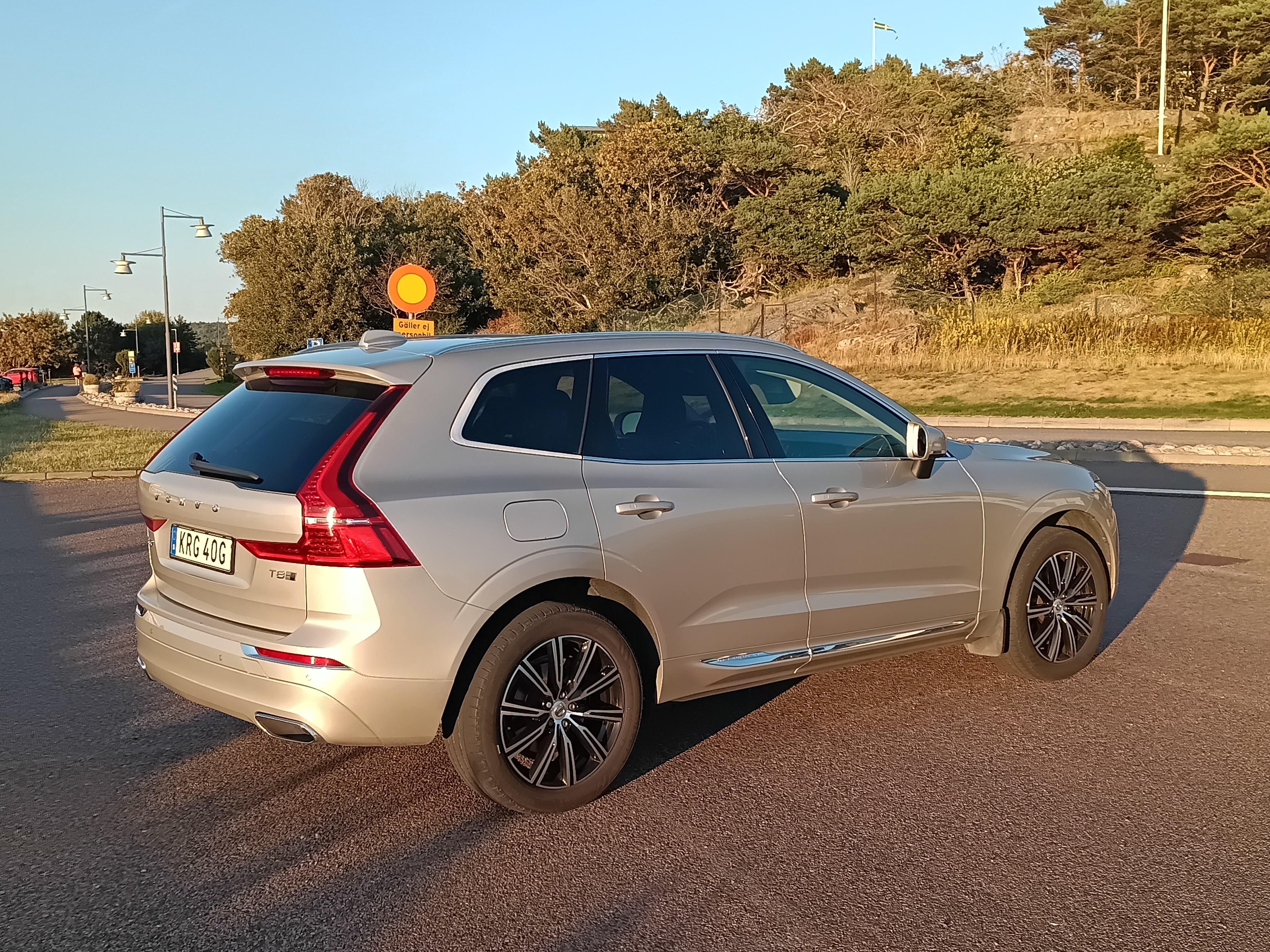 Volvo XC60 T8 Twin Engine AWD Geartronic 2020, bild 3/9