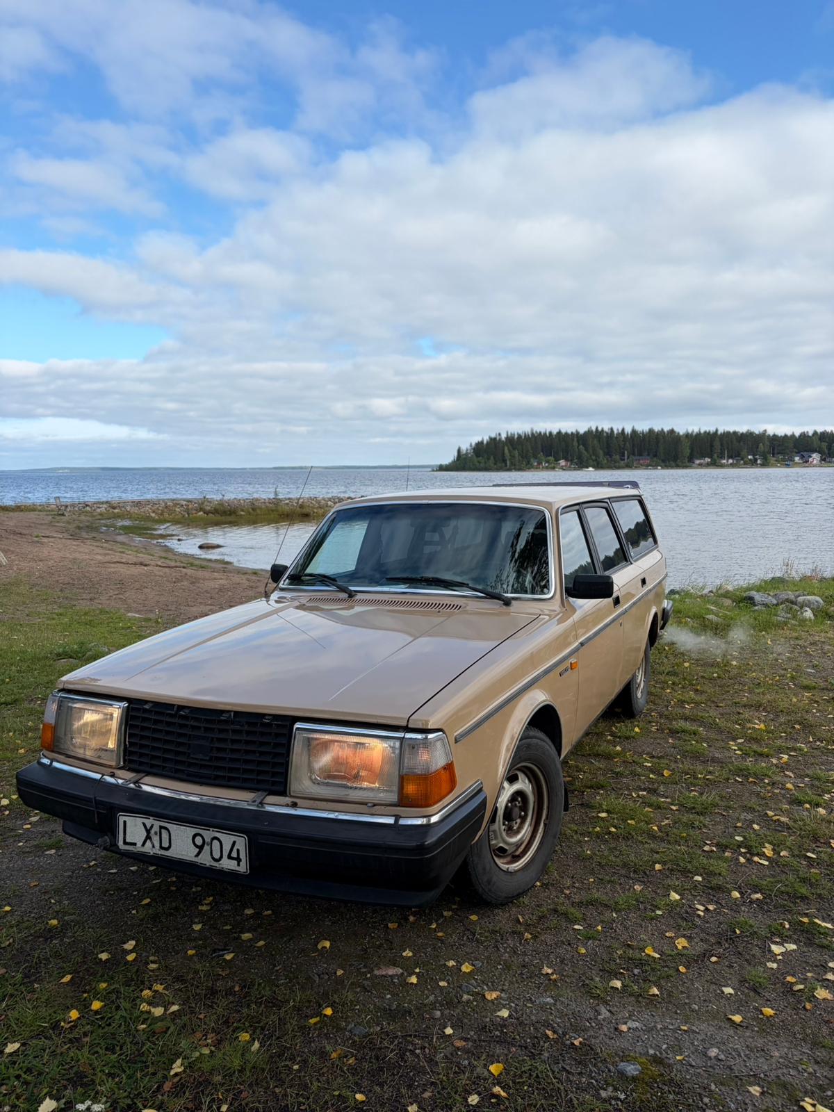 Volvo 245