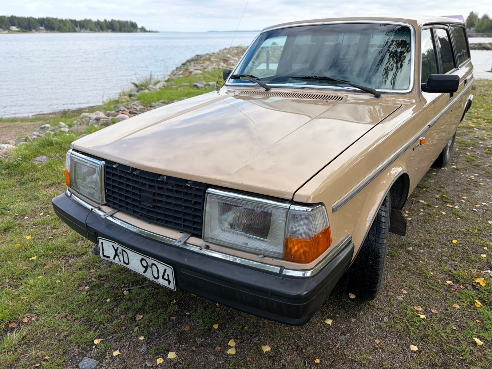 Volvo 245 Kombi 2.1 Manuell 1984, bild 4/10