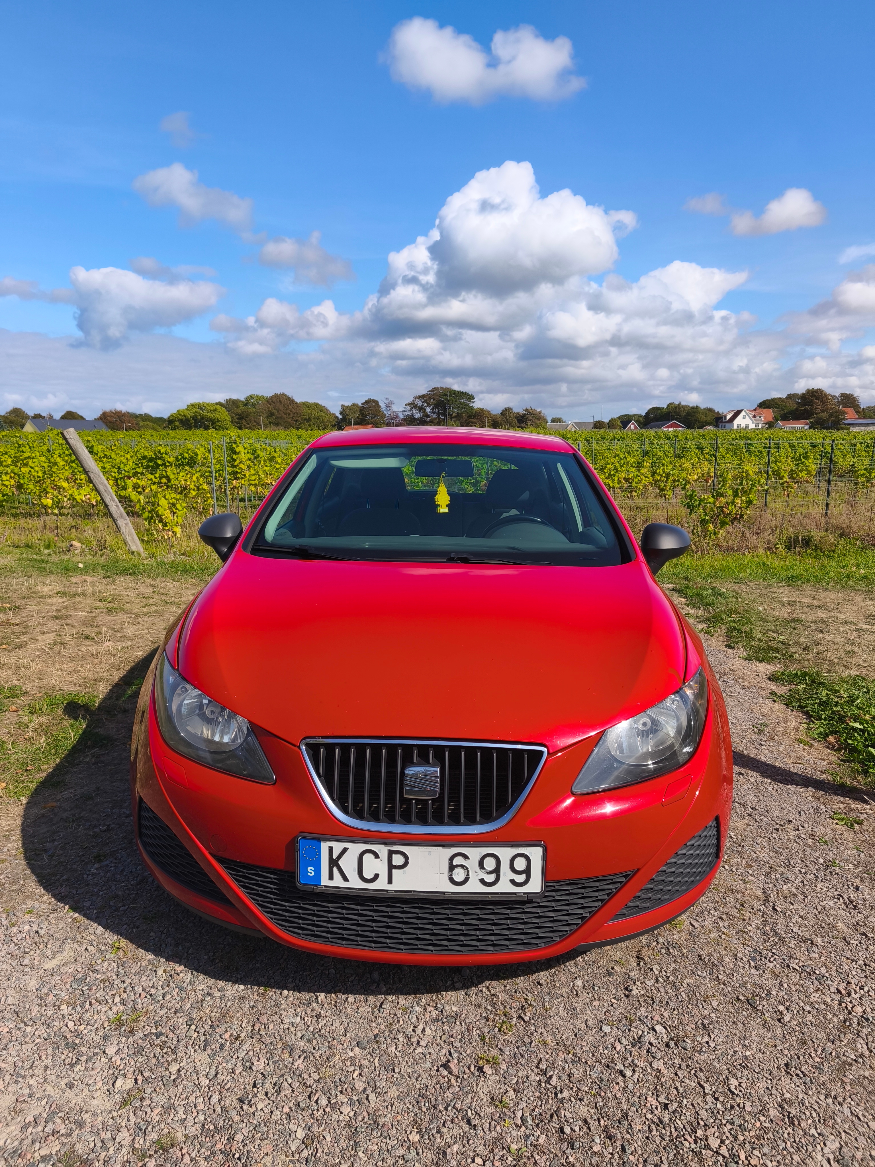 Seat Ibiza 5-dörrar 1.4 16v Manuell 2010, bild 4/10