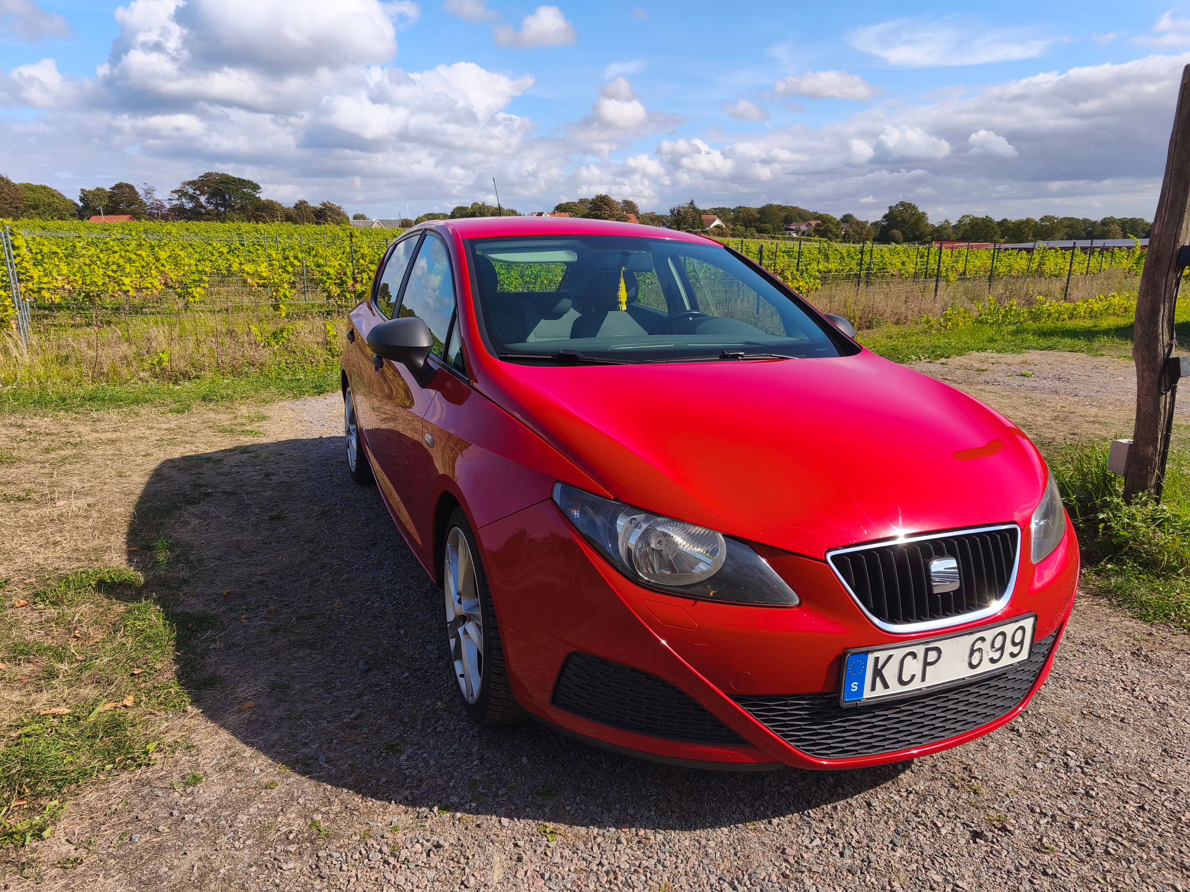 Seat Ibiza 5-dörrar 1.4 16v Manuell 2010, bild 2/10