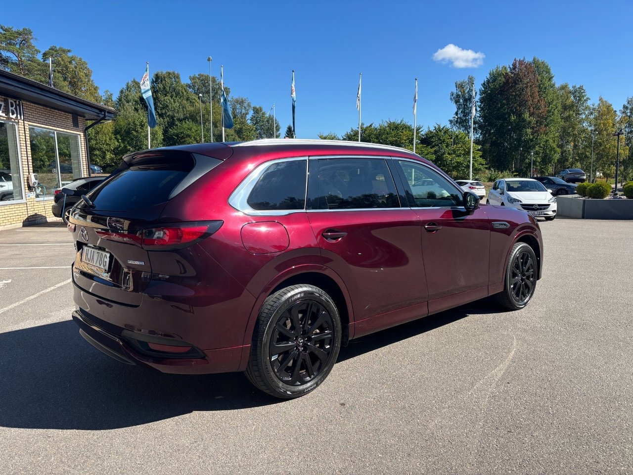 Mazda CX-80 2024, photo 5/10
