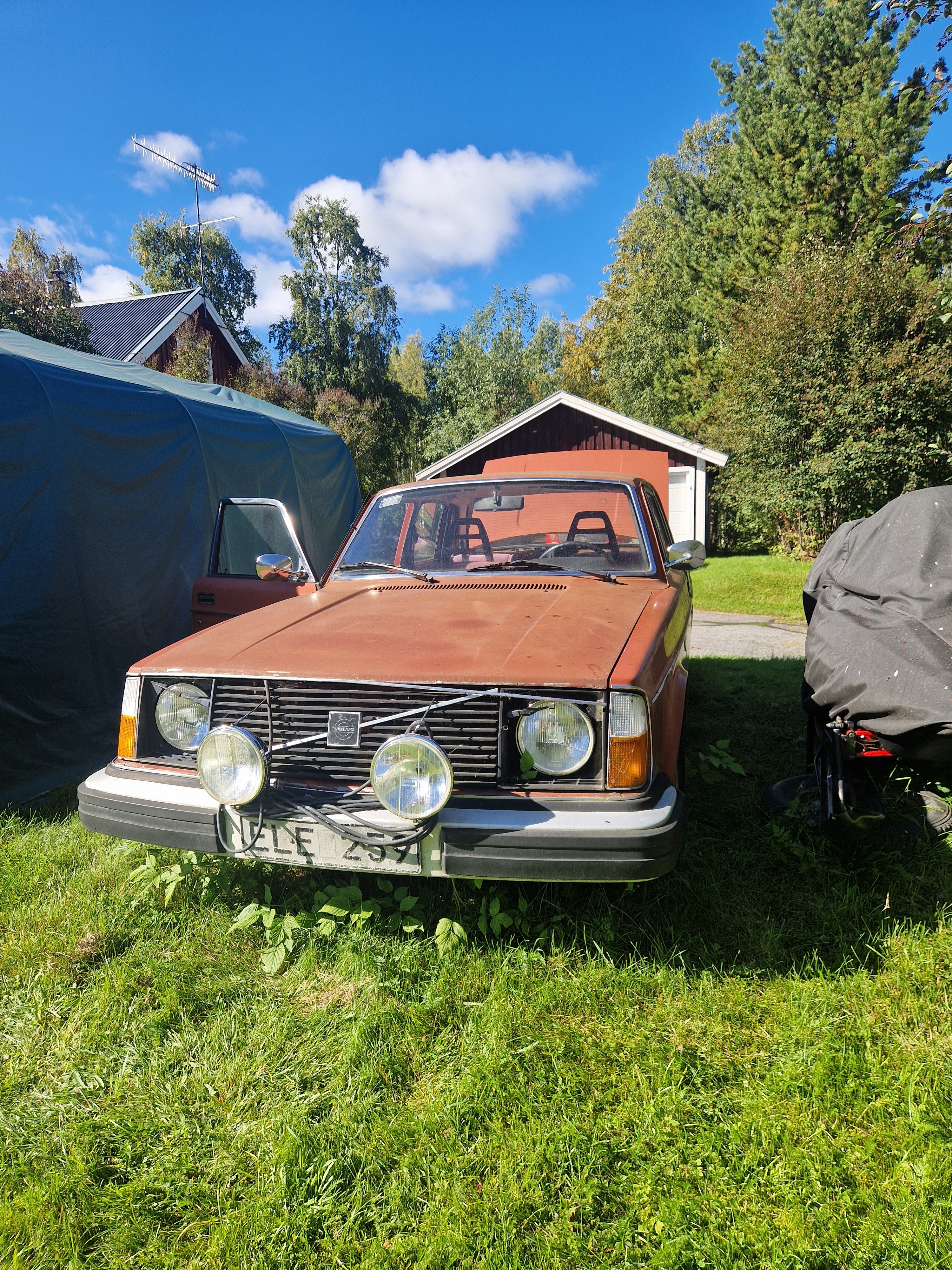 Volvo 244