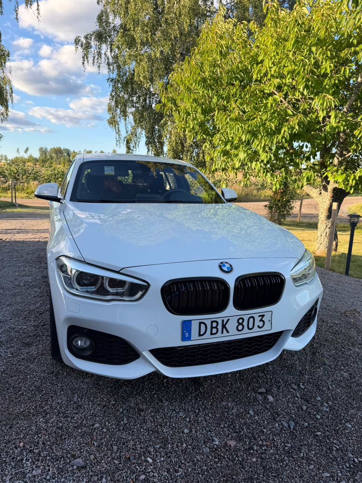 BMW 118 d 5-dörrars Steptronic 2016, bild 2/10