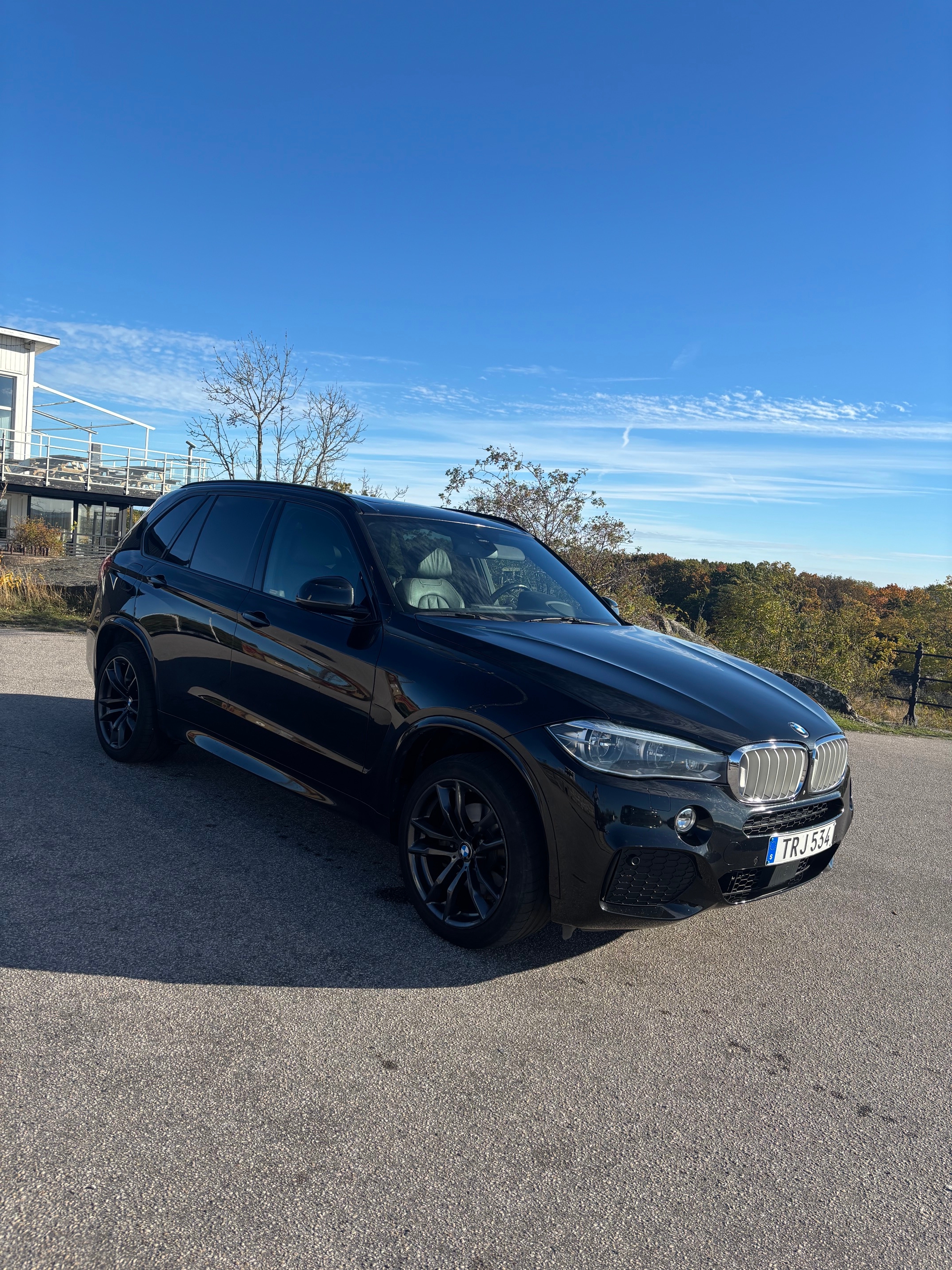 BMW X5 xDrive40e Steptronic 2018, bild 2/10