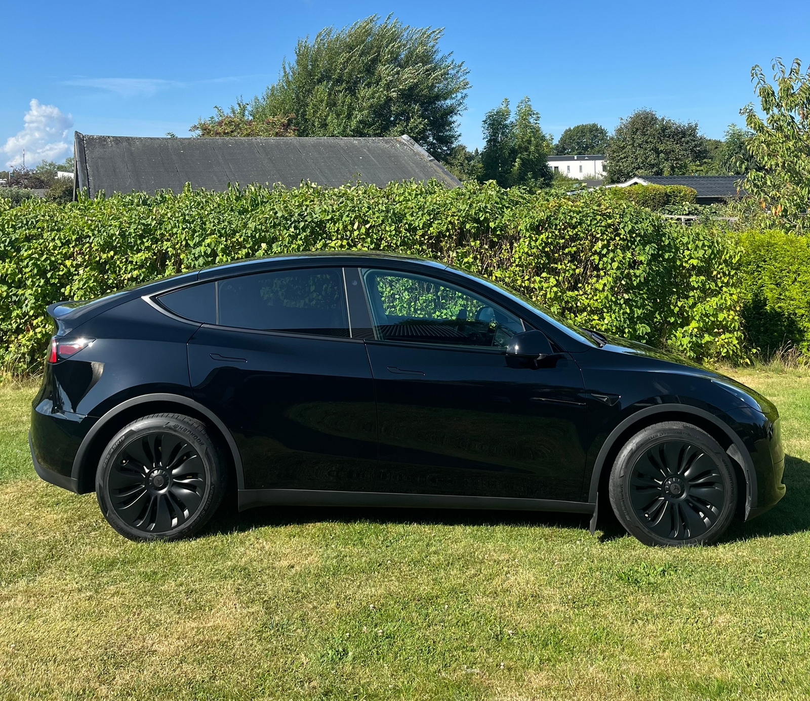 Tesla Model Y Standard Range RWD 2023, photo 2/10