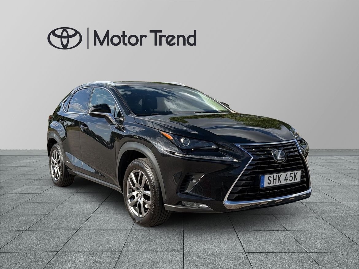 Lexus NX 300h EXECUTIVE DRAG VINTERHJUL 2019, bild 6/10