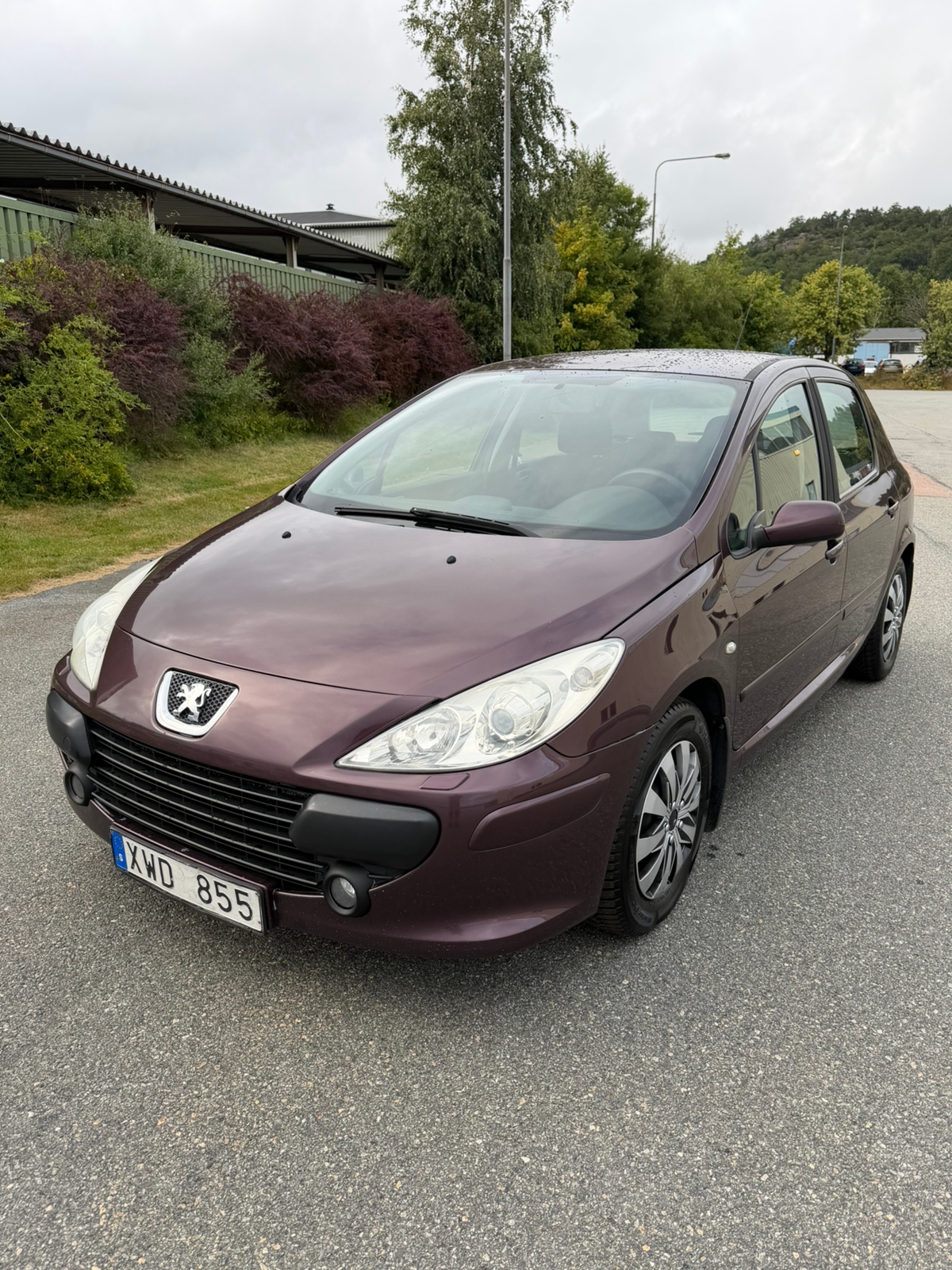 Peugeot 307
