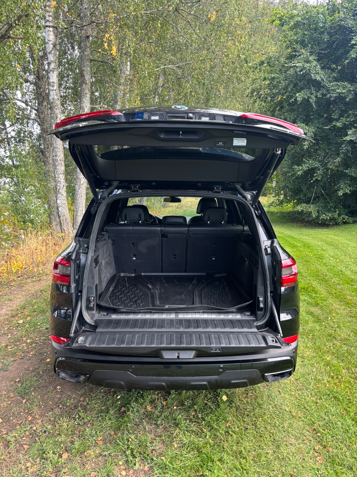 BMW X5 xDrive45e iPerformance Steptronic 2020, bild 5/8