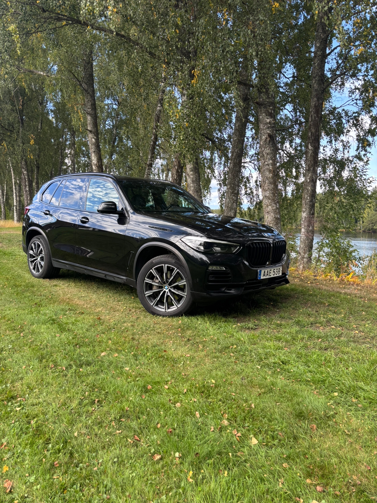 BMW X5 xDrive45e iPerformance Steptronic 2020, bild 2/8