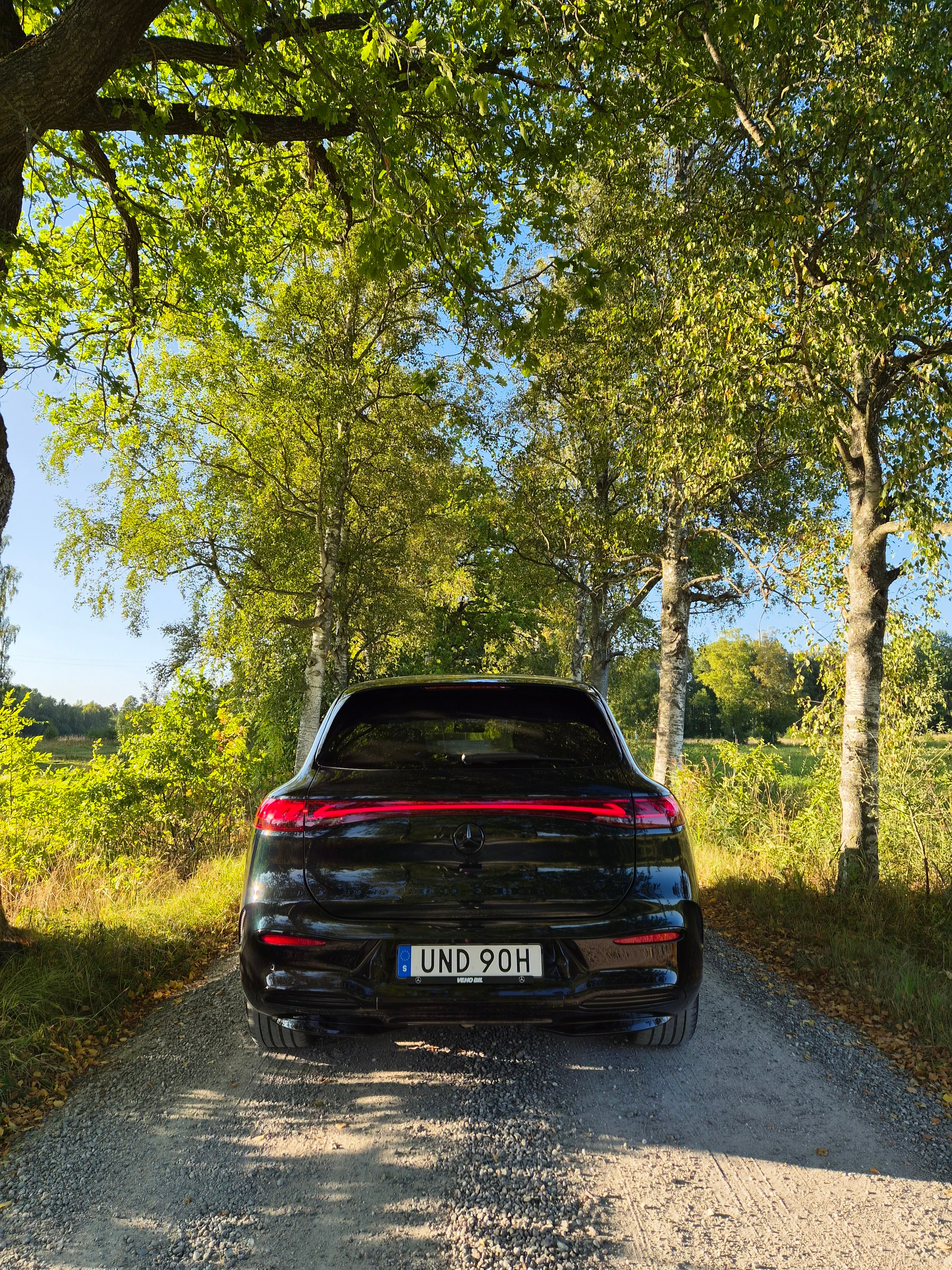 Mercedes-Benz EQS SUV 450 4MATIC 2024, photo 4/10