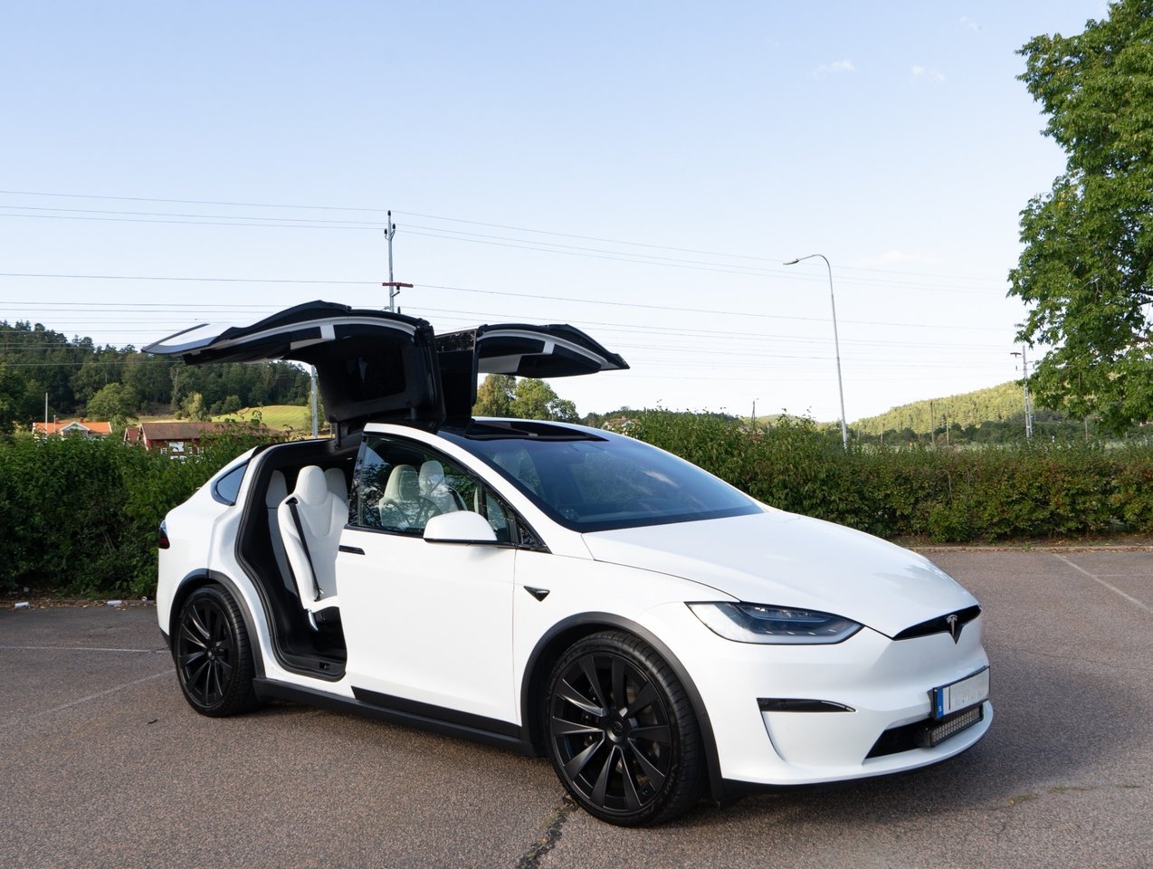Tesla Model X 2023, photo 2/10