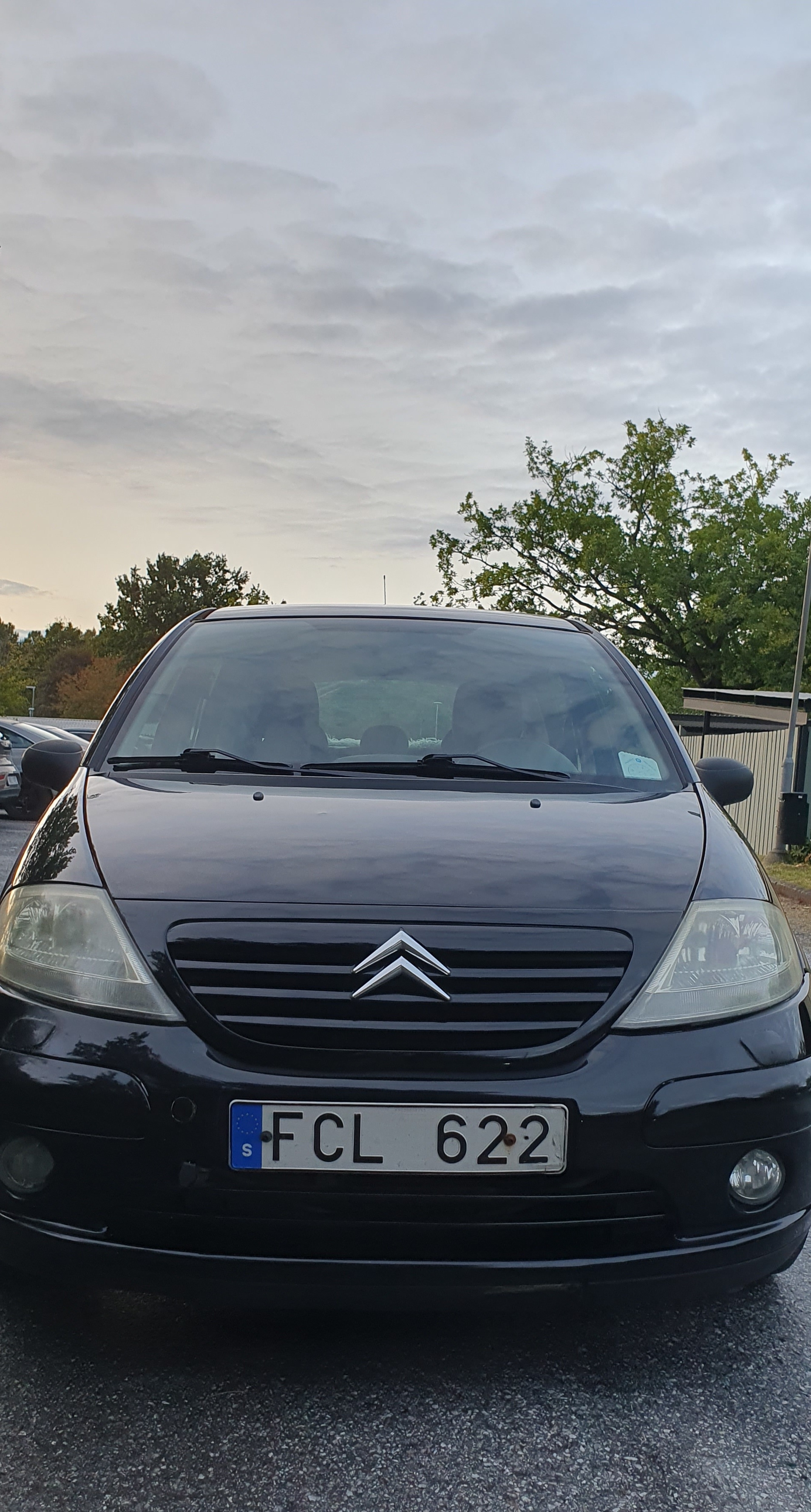 Citroen C3 1.4 8v Manuell 2007, bild 8/8