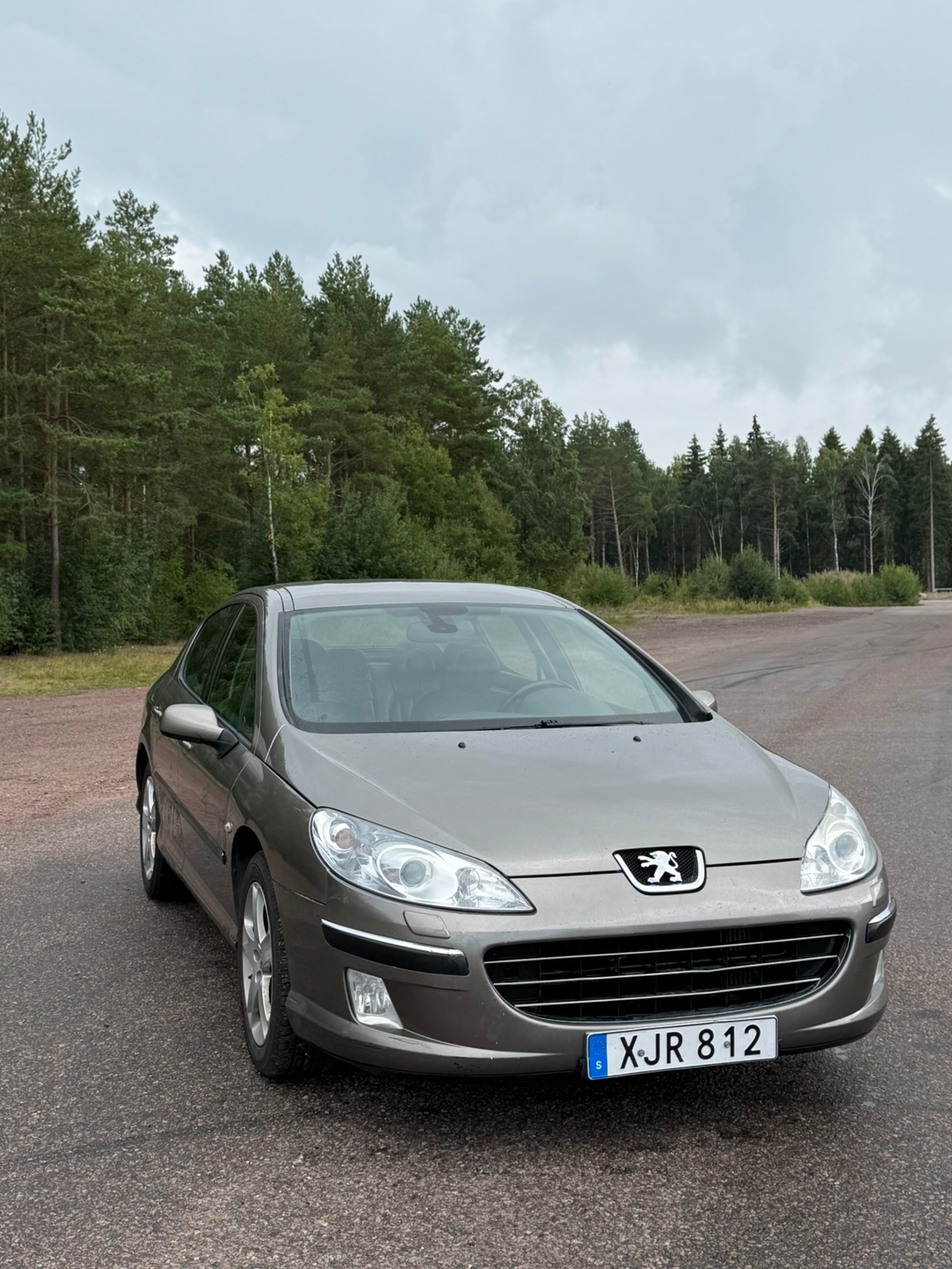 Peugeot 407 2.0 HDi Manuell 2006, bild 2/9