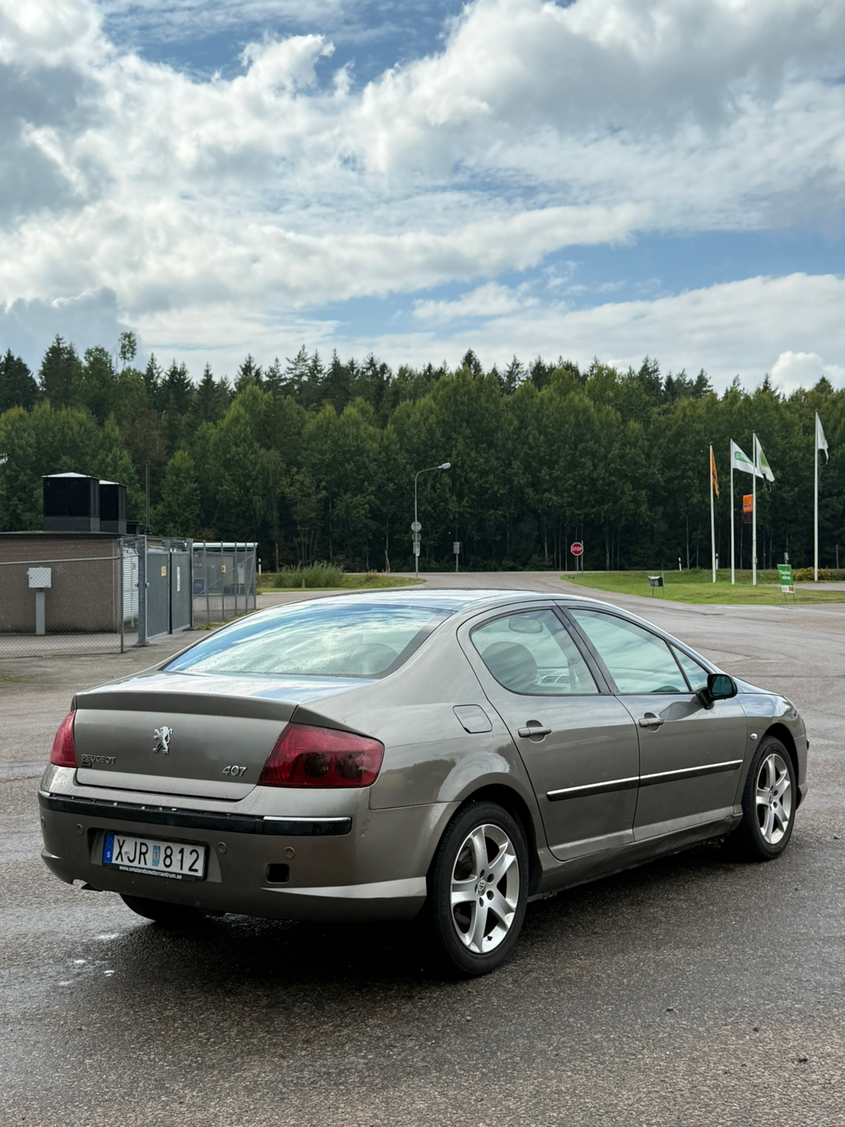 Peugeot 407 2.0 HDi Manuell 2006, bild 3/9