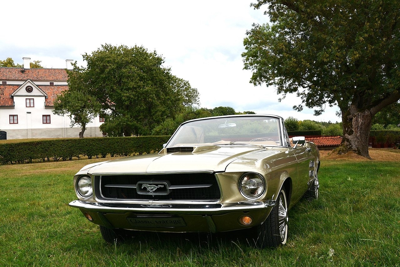 Ford Mustang Cab Renoverad 1967, bild 5/10