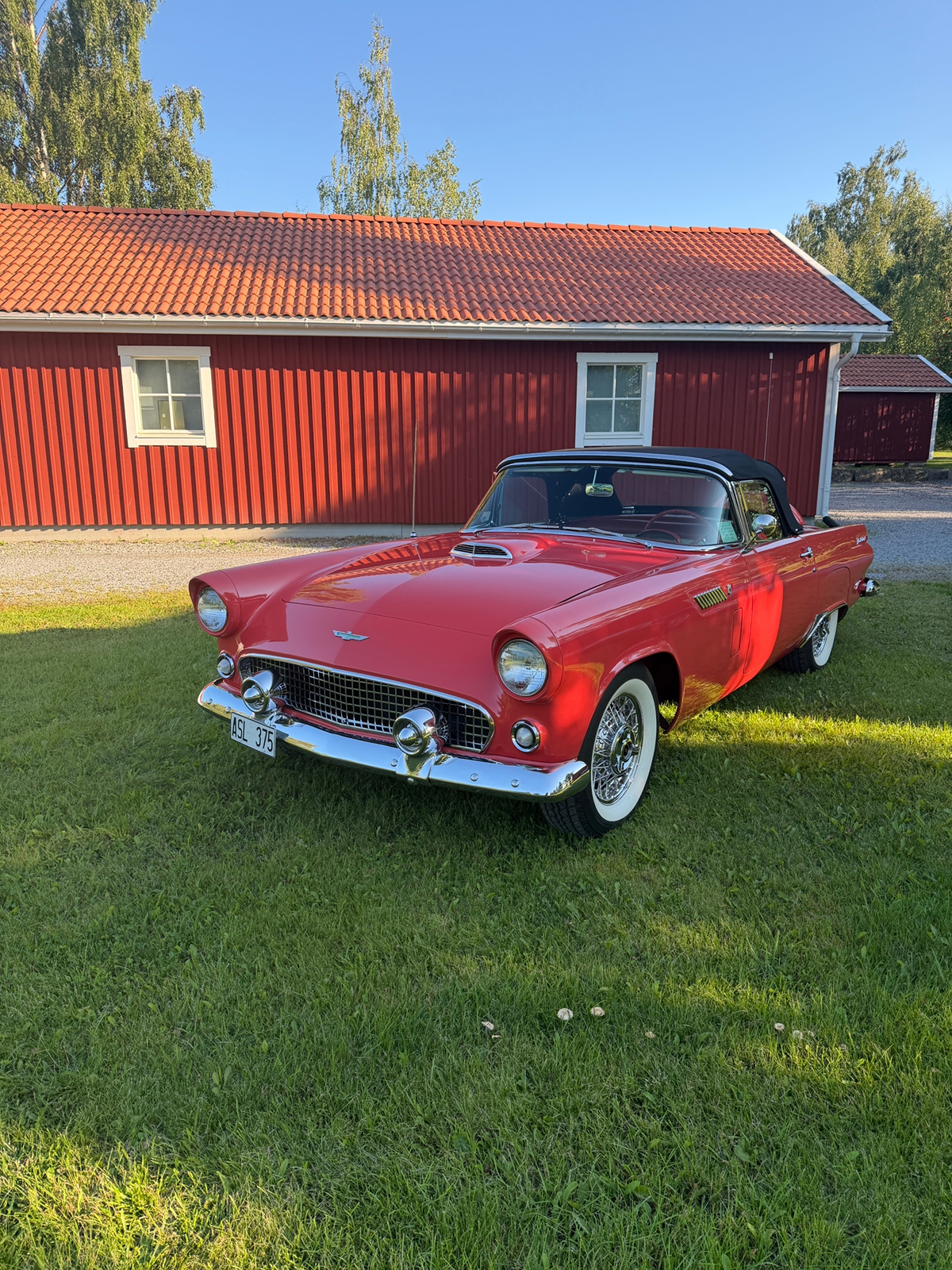 Ford Thunderbird 5.1 V8 Fordomatic 1956, bild 2/10