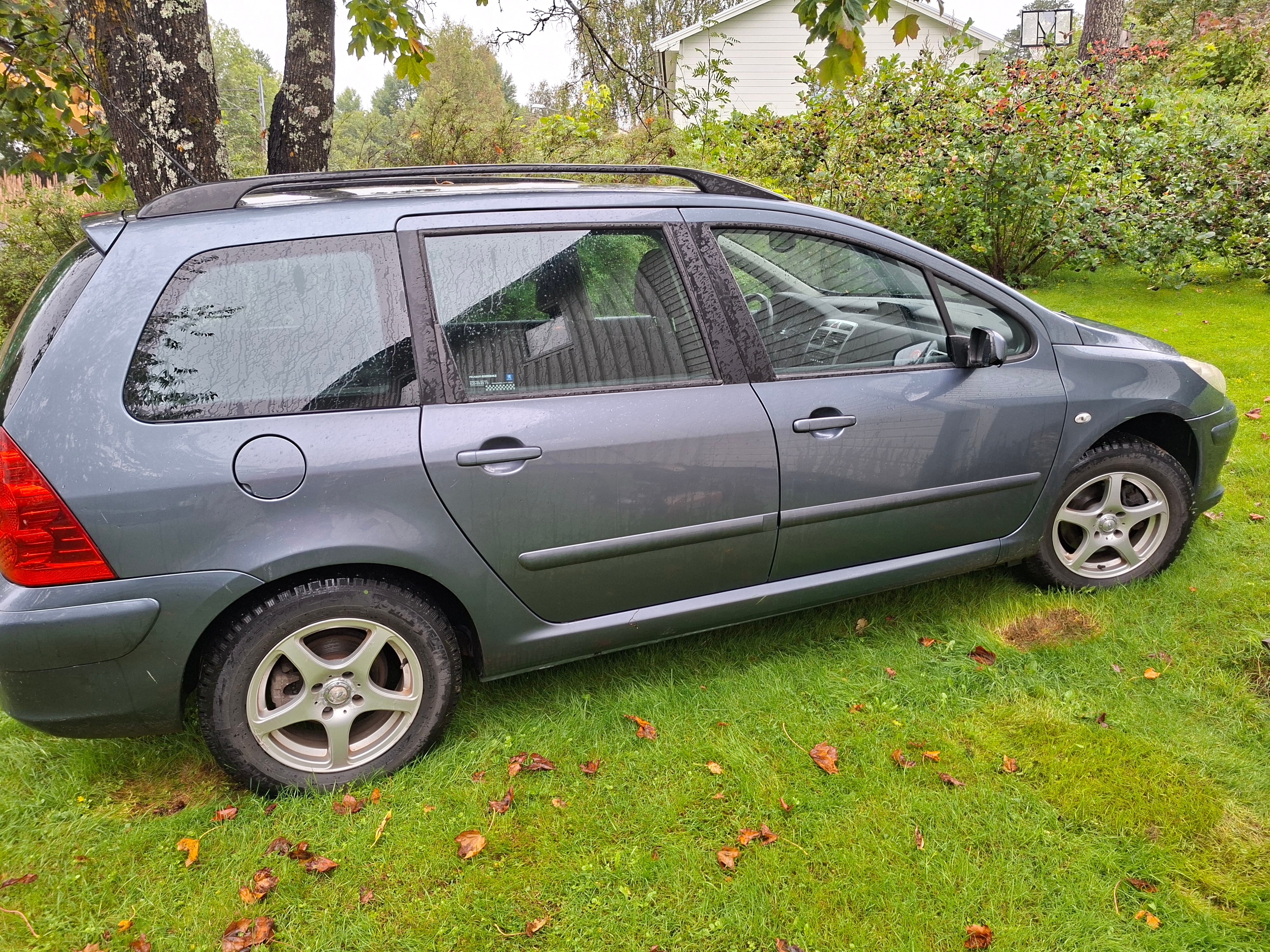 Peugeot 307 Break 2.0 Manuell 2007, bild 3/5