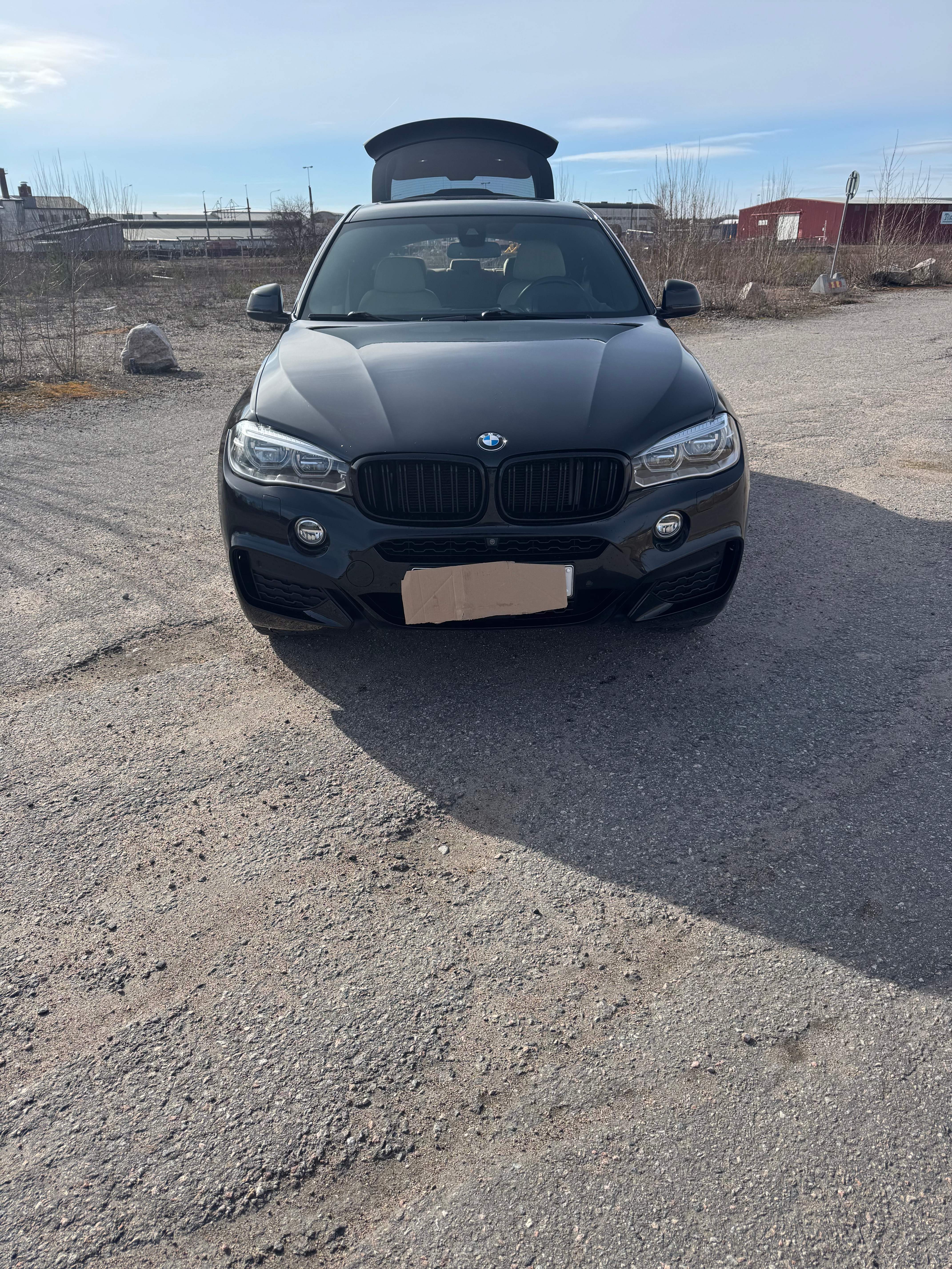 BMW X6 xDrive40d Steptronic 2019, bild 2/10