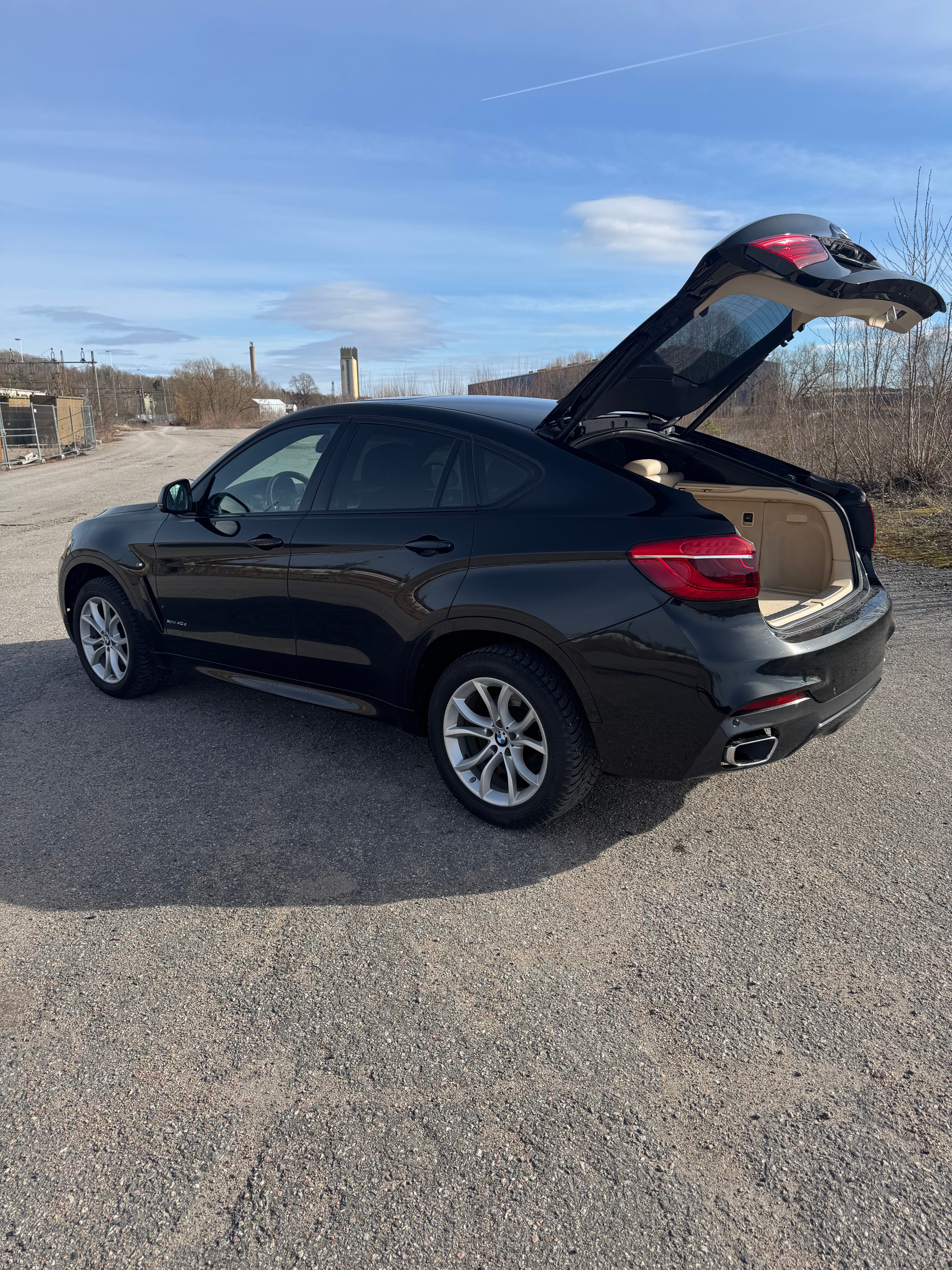 BMW X6 xDrive40d Steptronic 2019, bild 4/10