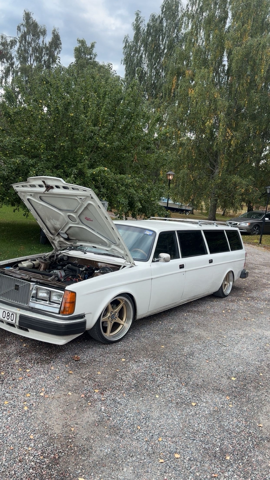 Volvo 245