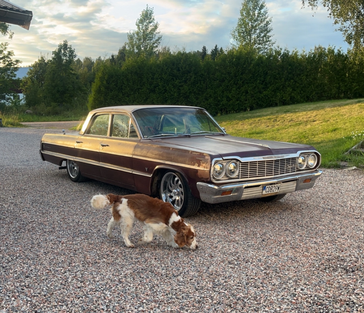 Chevrolet Impala Sedan 4.6 V8 Powerglide 1964, kuva 2/7