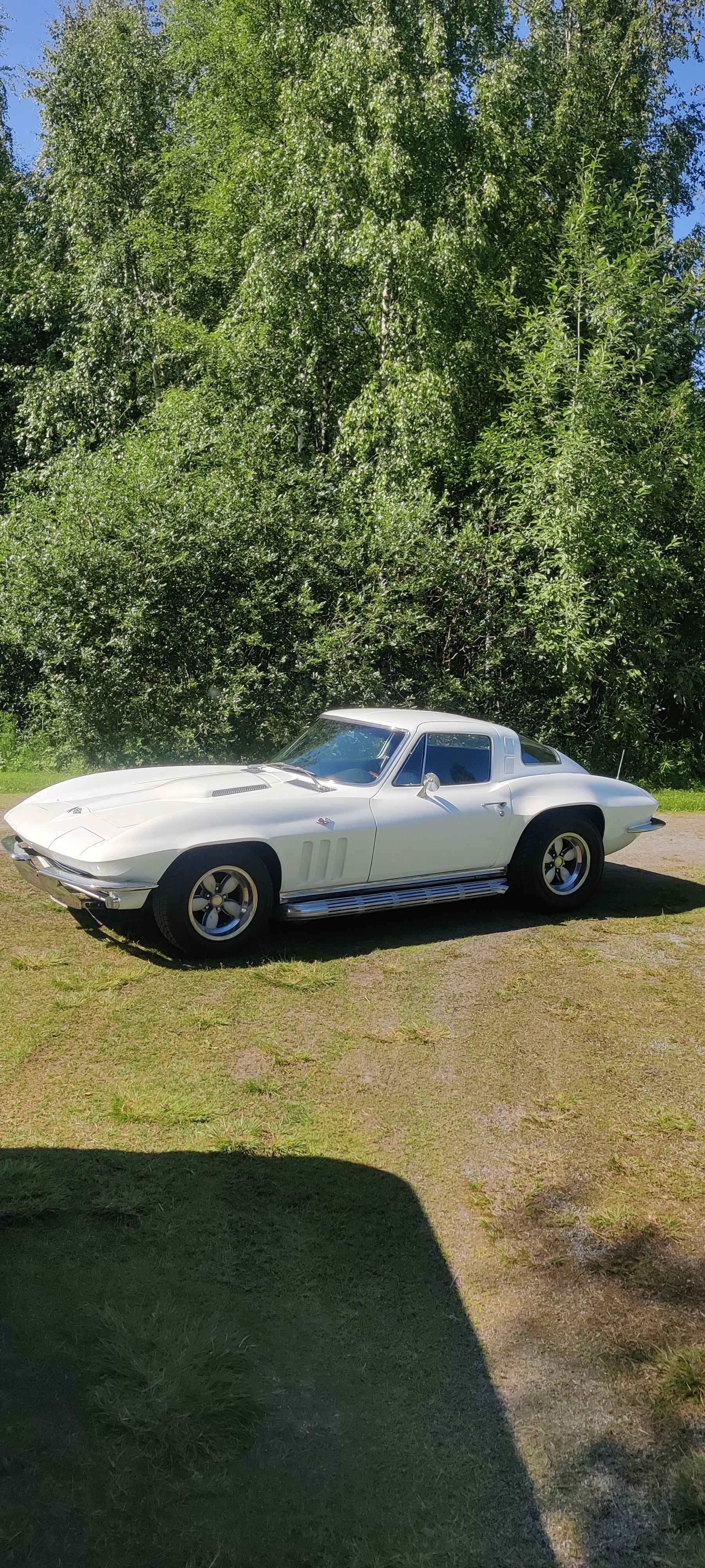 Chevrolet Corvette 1965, bild 6/7