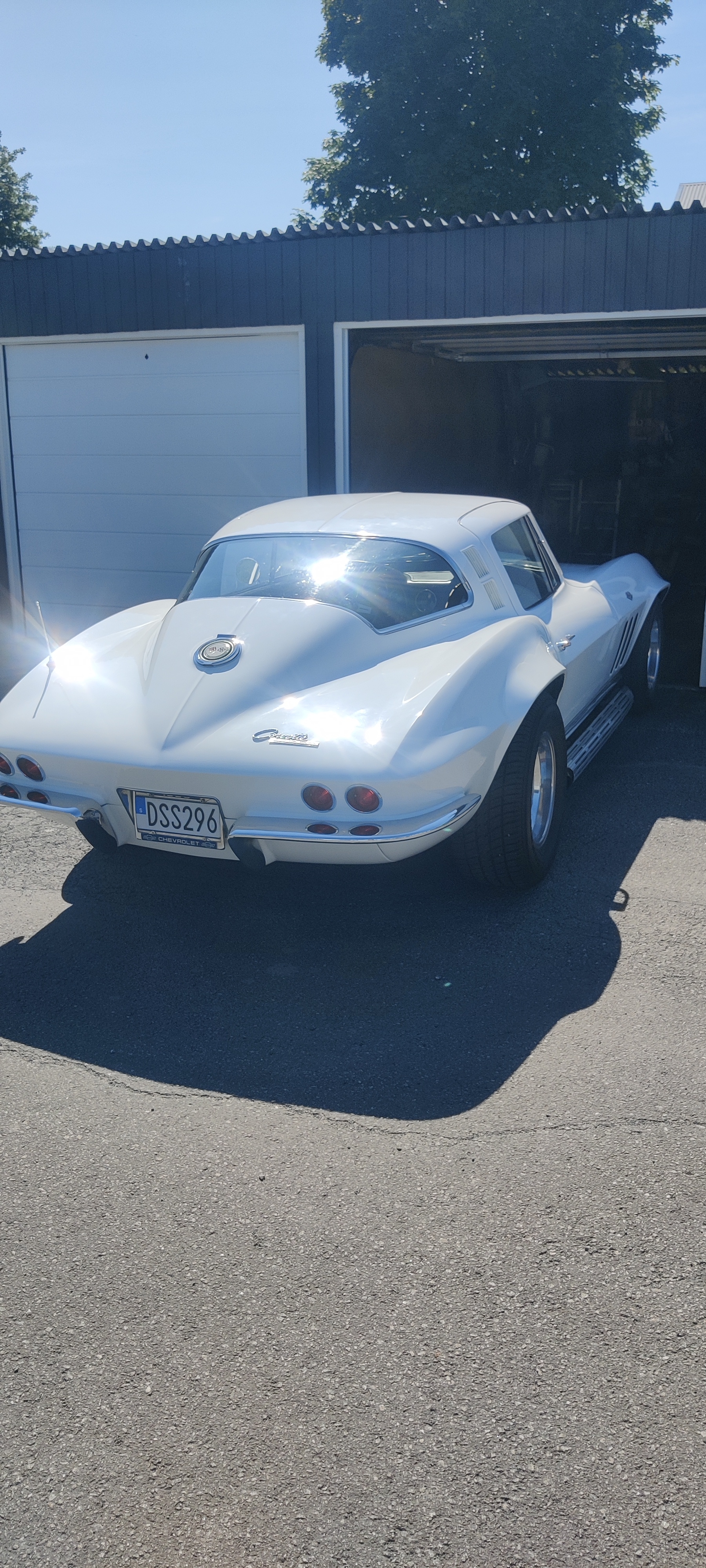 Chevrolet Corvette 1965, bild 3/7